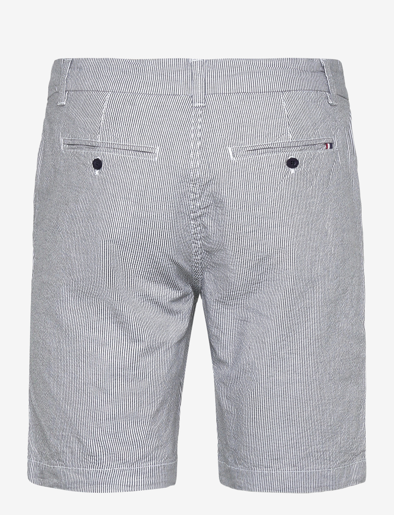 U.S. Polo Assn. - CHRIS REG USPA M SHORTS - casual shorts - 19-4020 dark sapphire striped - 1