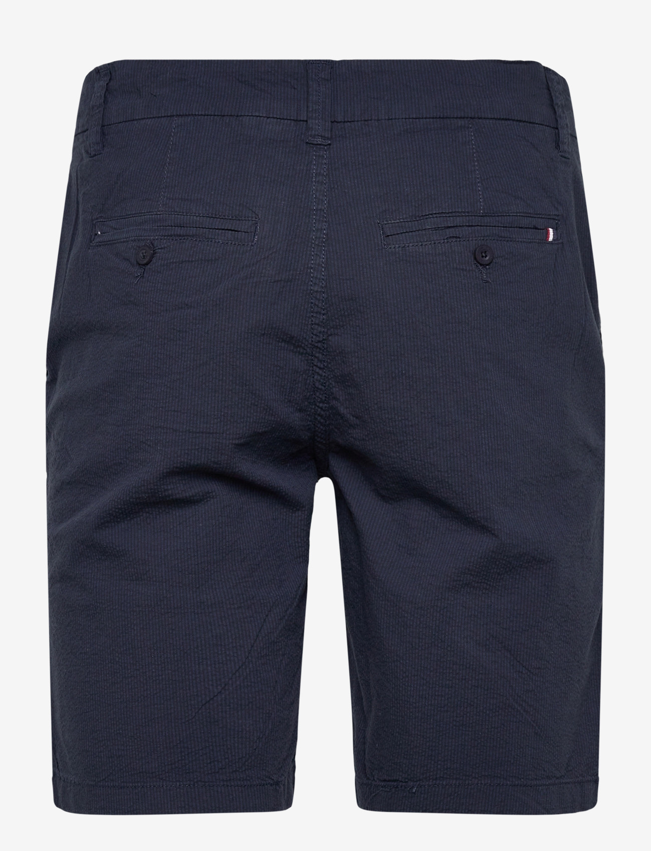 U.S. Polo Assn. - CHRIS REG USPA M SHORTS - casual shorts - 19-4020tcx dark sapphire - 1