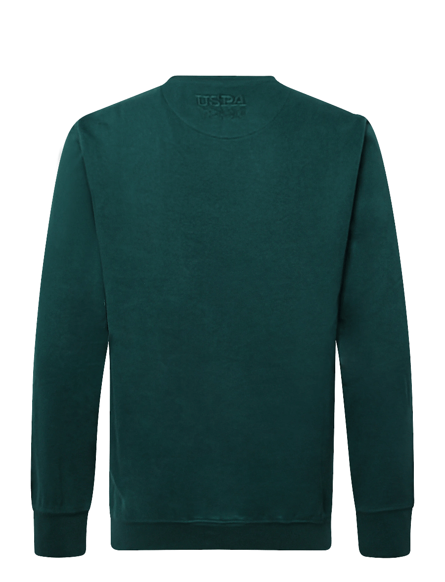 U.S. Polo Assn. - UMDIEGO TOP O-NECK SWT - sweatshirts - rain forest - 1