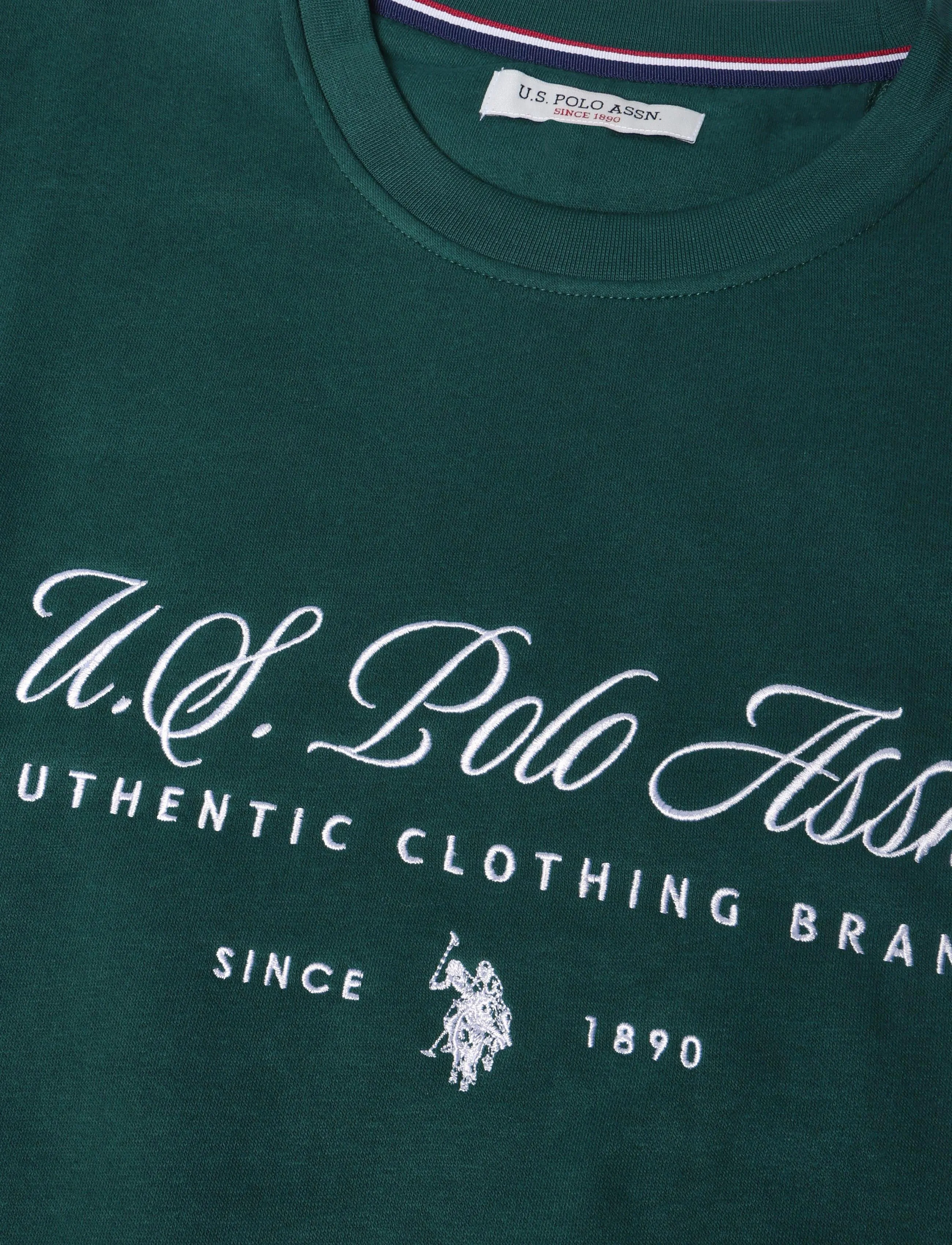 U.S. Polo Assn. - UMDIEGO TOP O-NECK SWT - sweatshirts - rain forest - 2