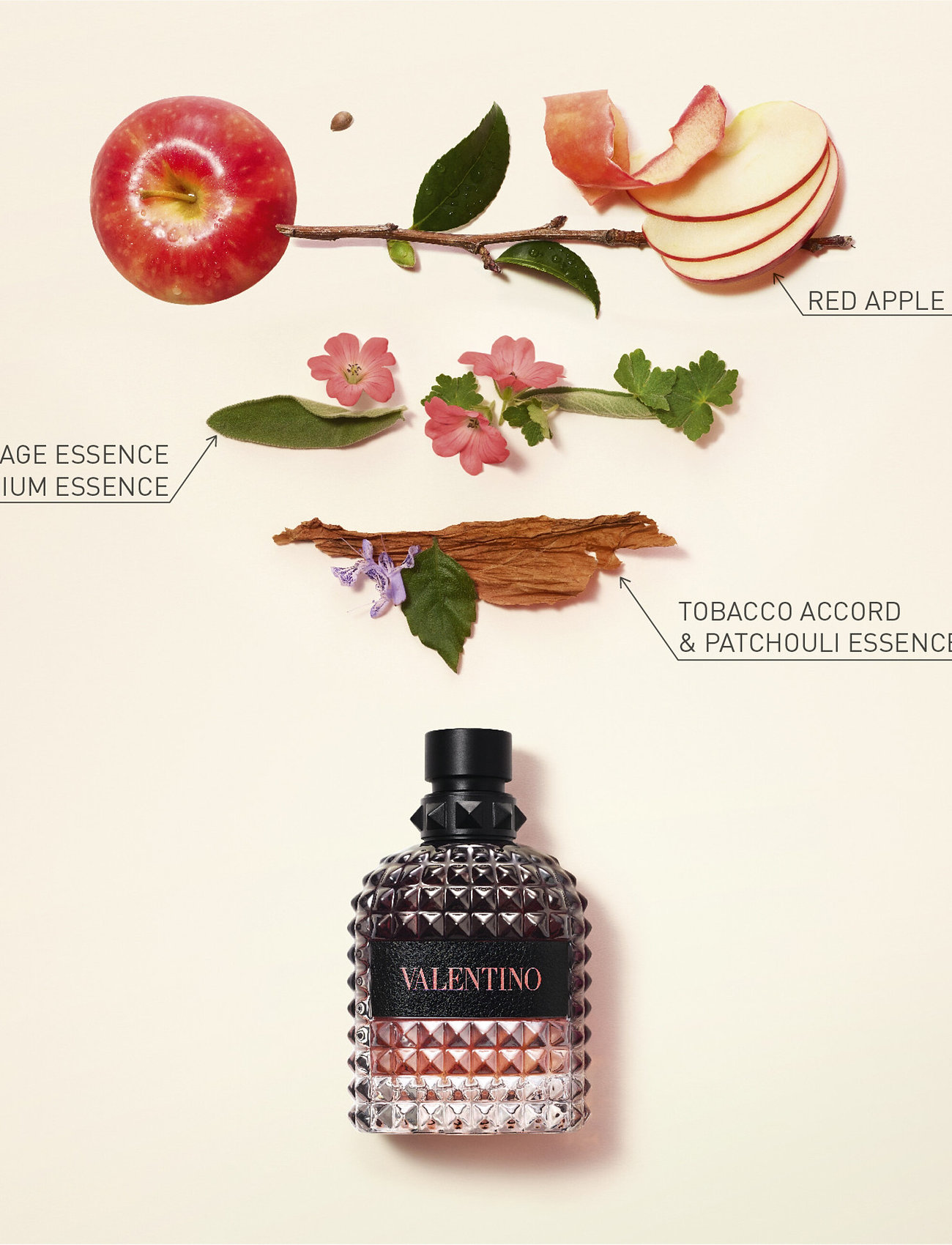 Valentino Fragrance - UOMO BORN IN ROMA CORAL FANTASY Eau de Toilette - clear - 0