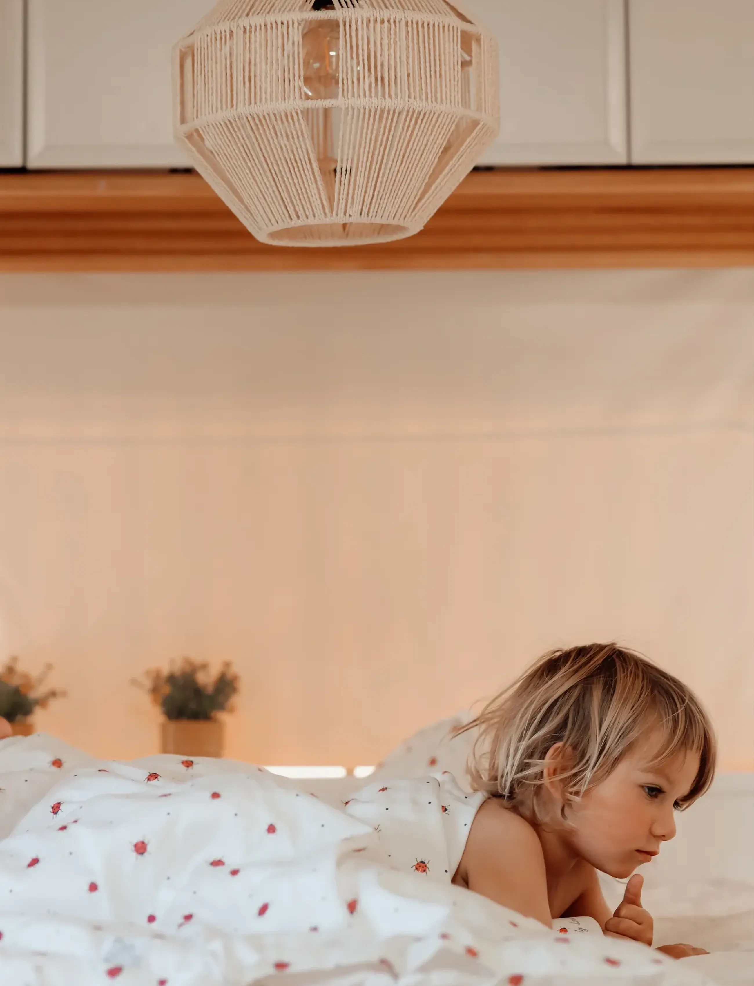 Vanilla Copenhagen - Bedding Baby - Lady Lovebug - bed sets - milk - 3