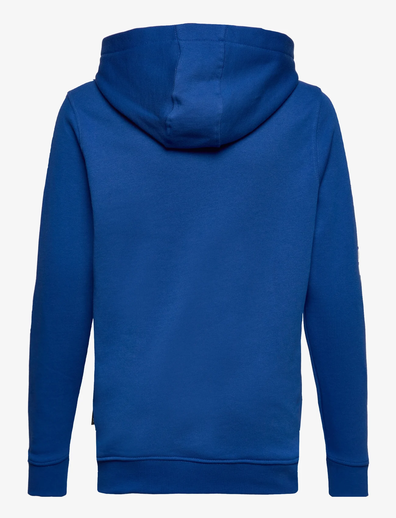 VANS - REFLECTIVE CHECKERBOARD FLAME PO - džemperi ar kapuci - true blue - 1