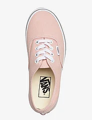 VANS - Authentic - color theory rose smoke - 3