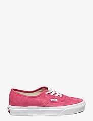 VANS - Authentic - låga sneakers - holly berry - 1