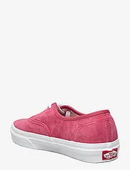 VANS - Authentic - låga sneakers - holly berry - 2
