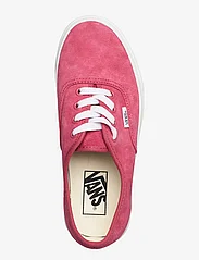 VANS - Authentic - low top sneakers - holly berry - 3