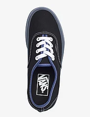 VANS - Authentic - laag sneakers - translucent sidewall black/blue - 3