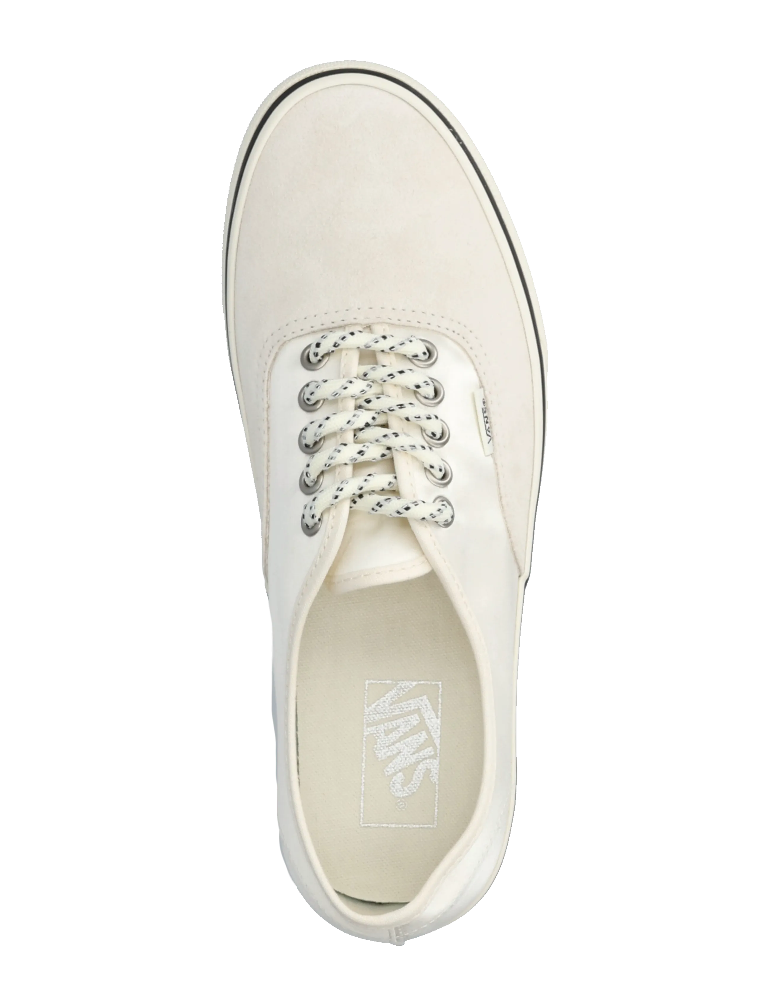 VANS - Authentic - låga sneakers - egret - 3
