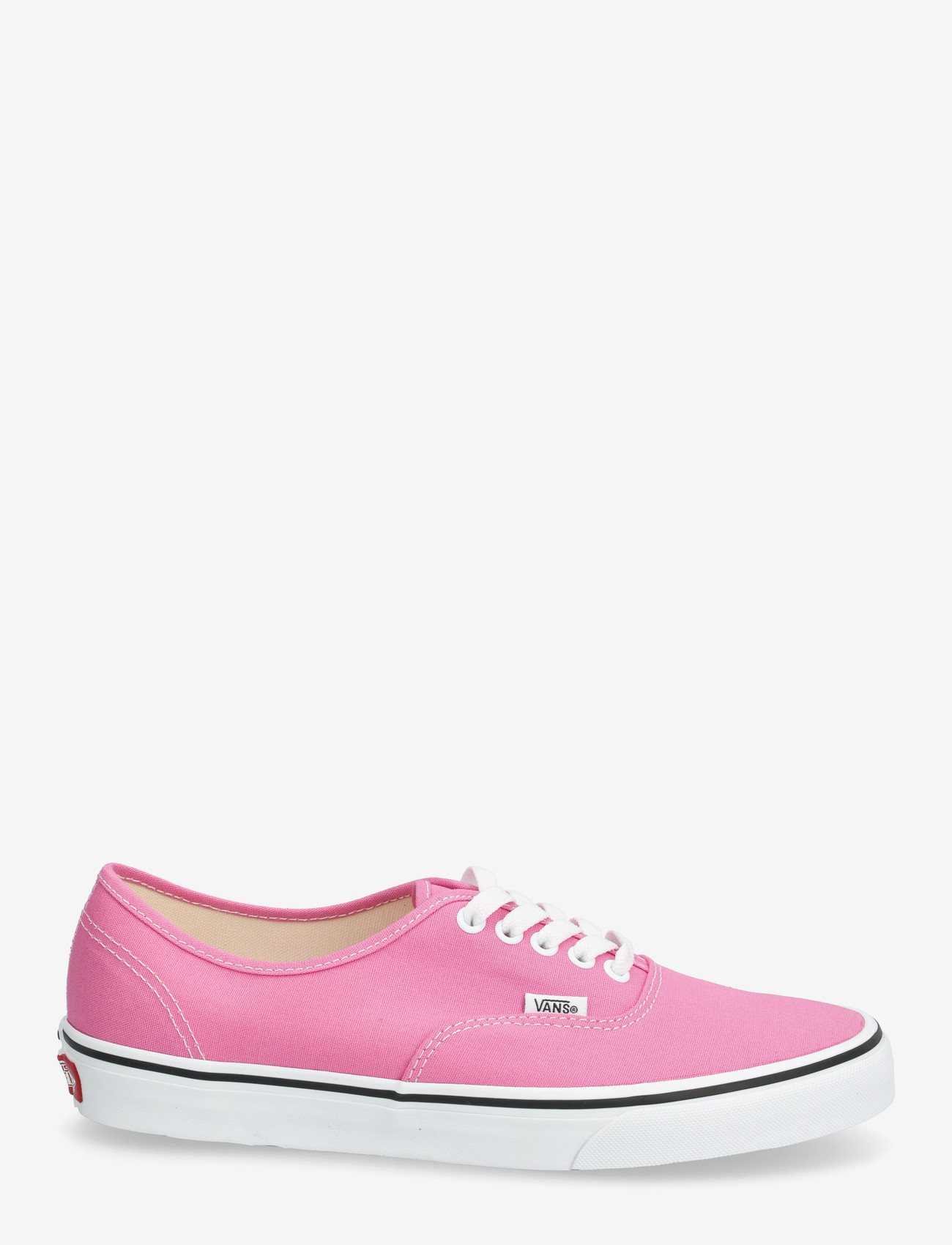 VANS - Authentic - low tops - pink fizz - 1