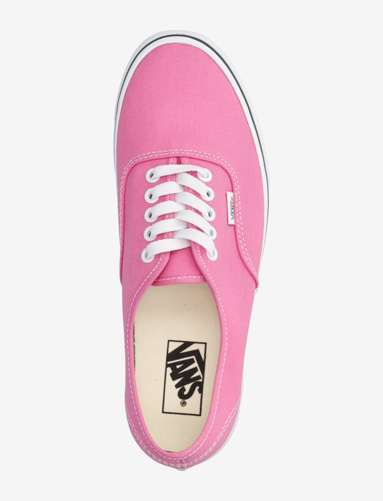 VANS - Authentic - low tops - pink fizz - 3
