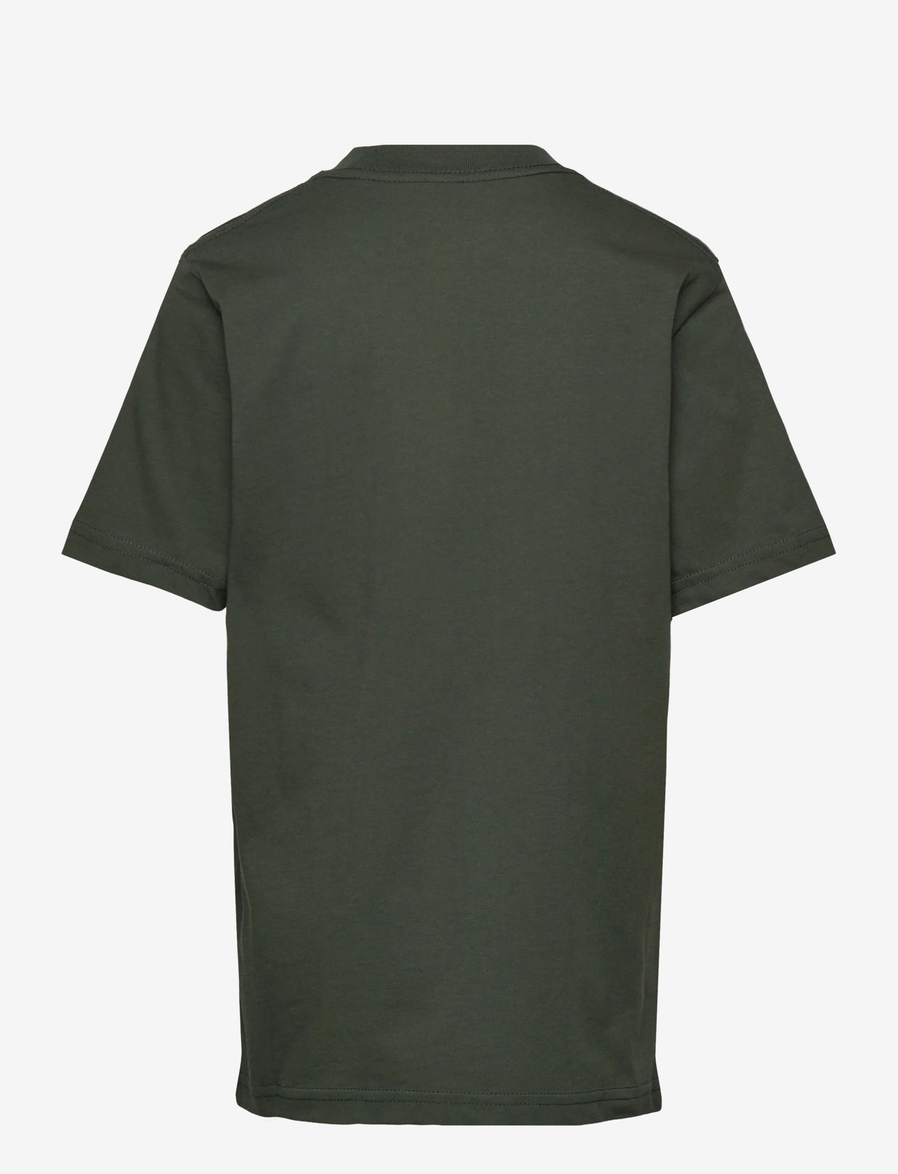 VANS - Vans Classic - herbstliche kleidung - dried kelp - 1