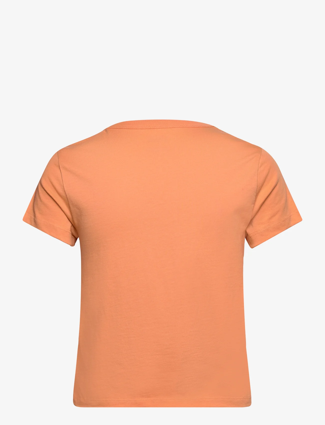 VANS - BASIC MINI SS - t-shirts - copper tan - 1