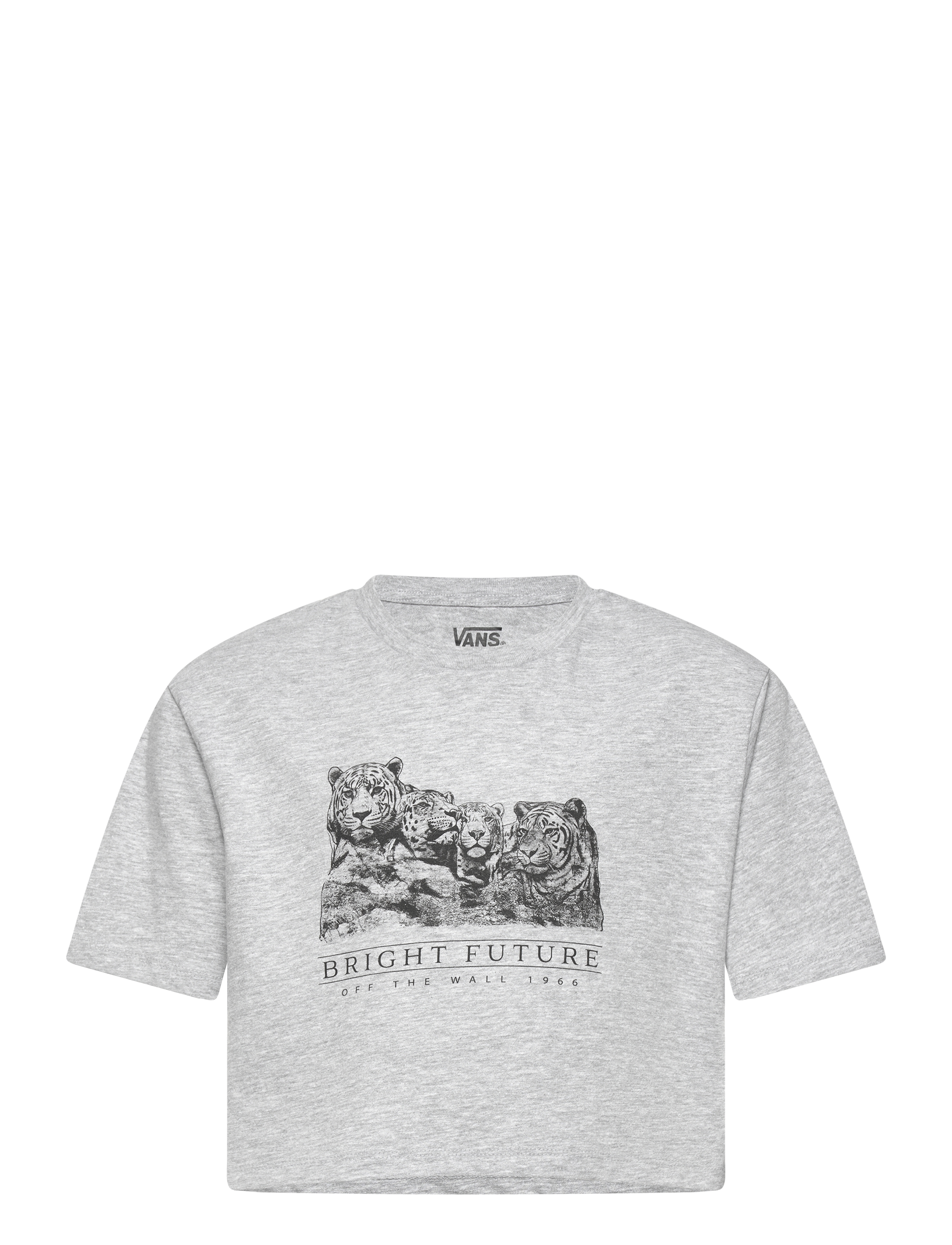 VANS Bright Future Relaxed Crop Ss Grau - 140-151 - Kinder