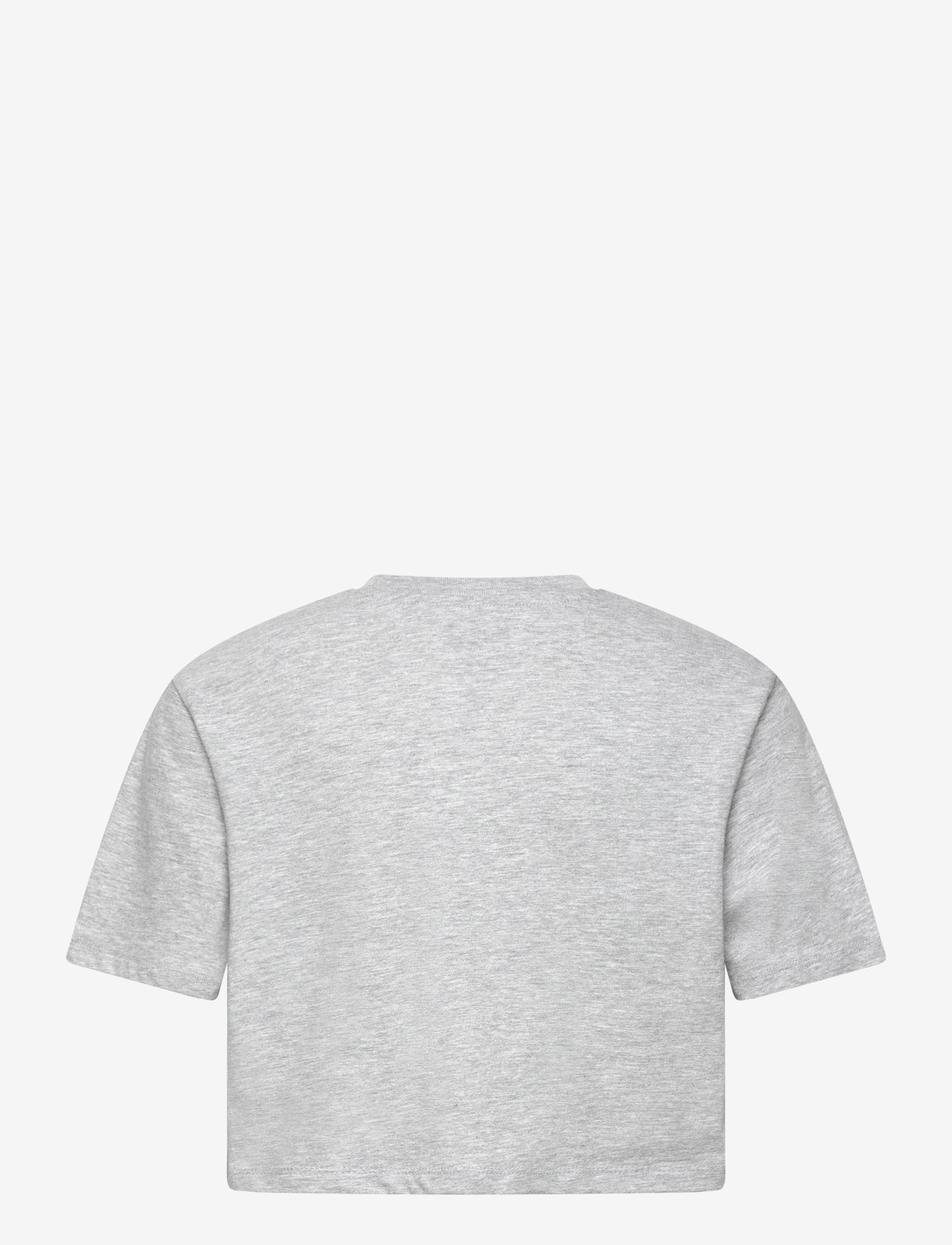 VANS - Bright Future Relaxed Crop SS - autumn clothing - cement heather - 1