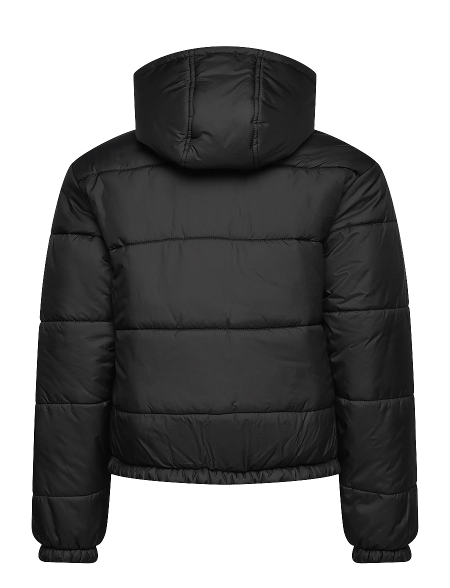 VANS - Hillgate Puffer BY - isolerede jakker - black - 1