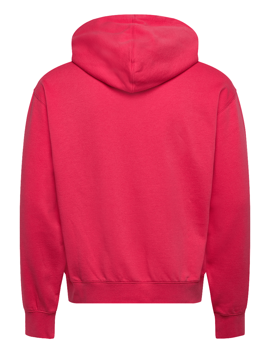 VANS - Stretch Logo Pullover - kapuutsiga dressipluusid - crimson haze - 1