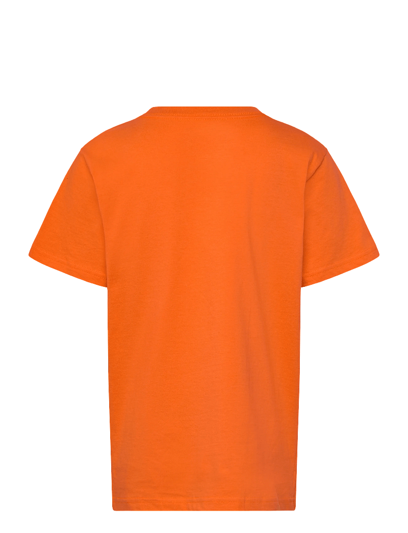 VANS - Stretch Logo SS - lühikeste varrukatega t-särgid - flame - 1