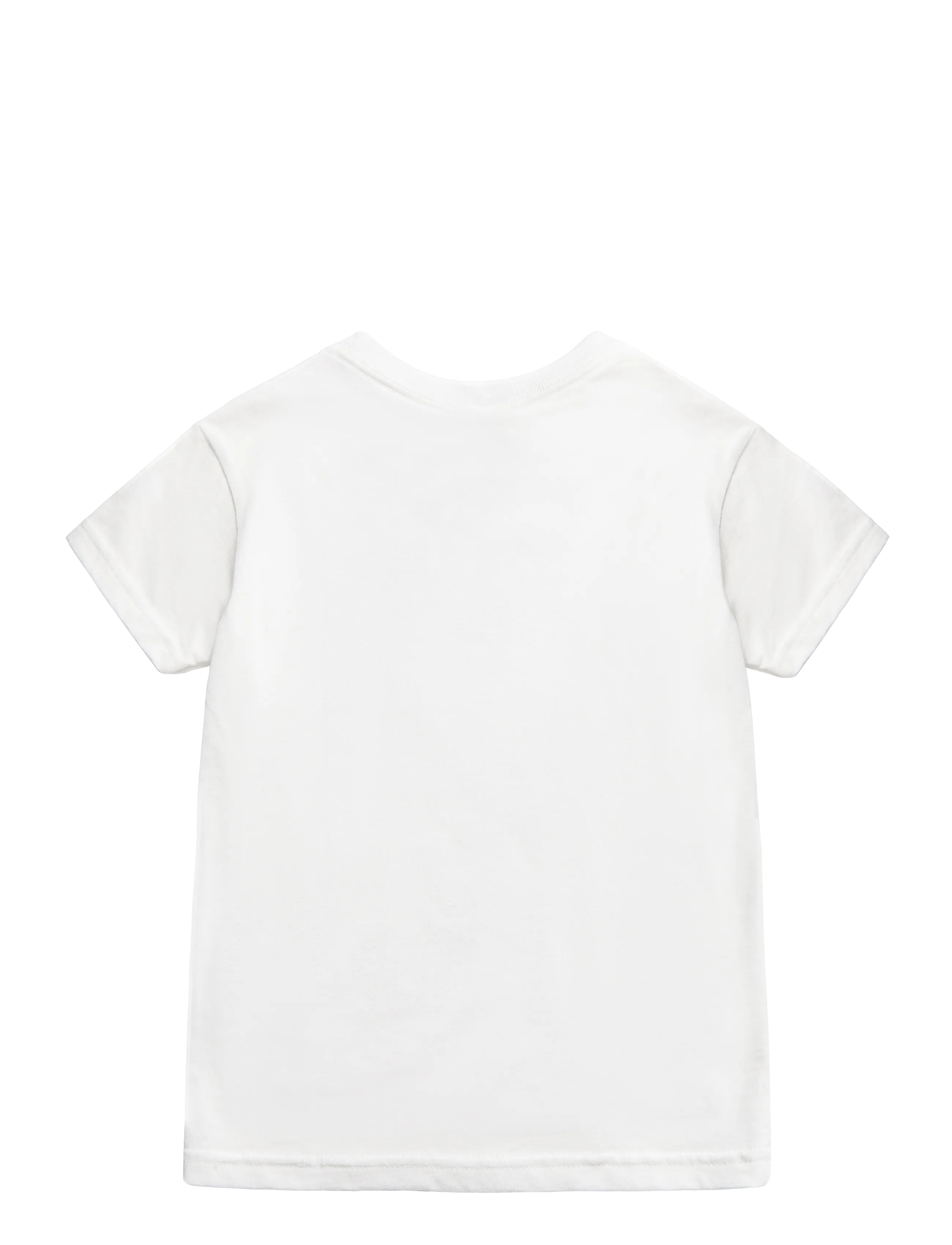 VANS - Stretch Logo SS - lühikeste varrukatega t-särgid - white - 1