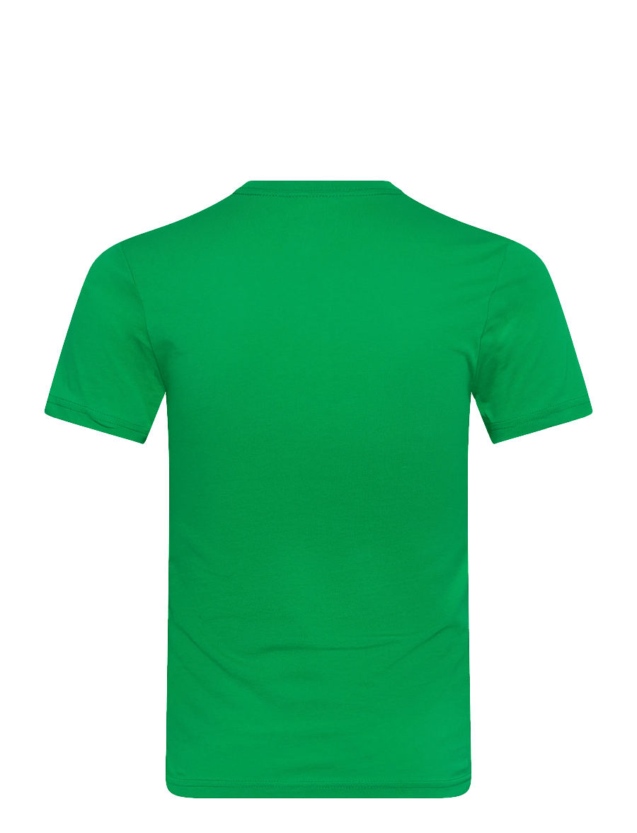 VANS - BY VANS GRAFF SS TEE - kurzärmelig - vivid verdant - 1