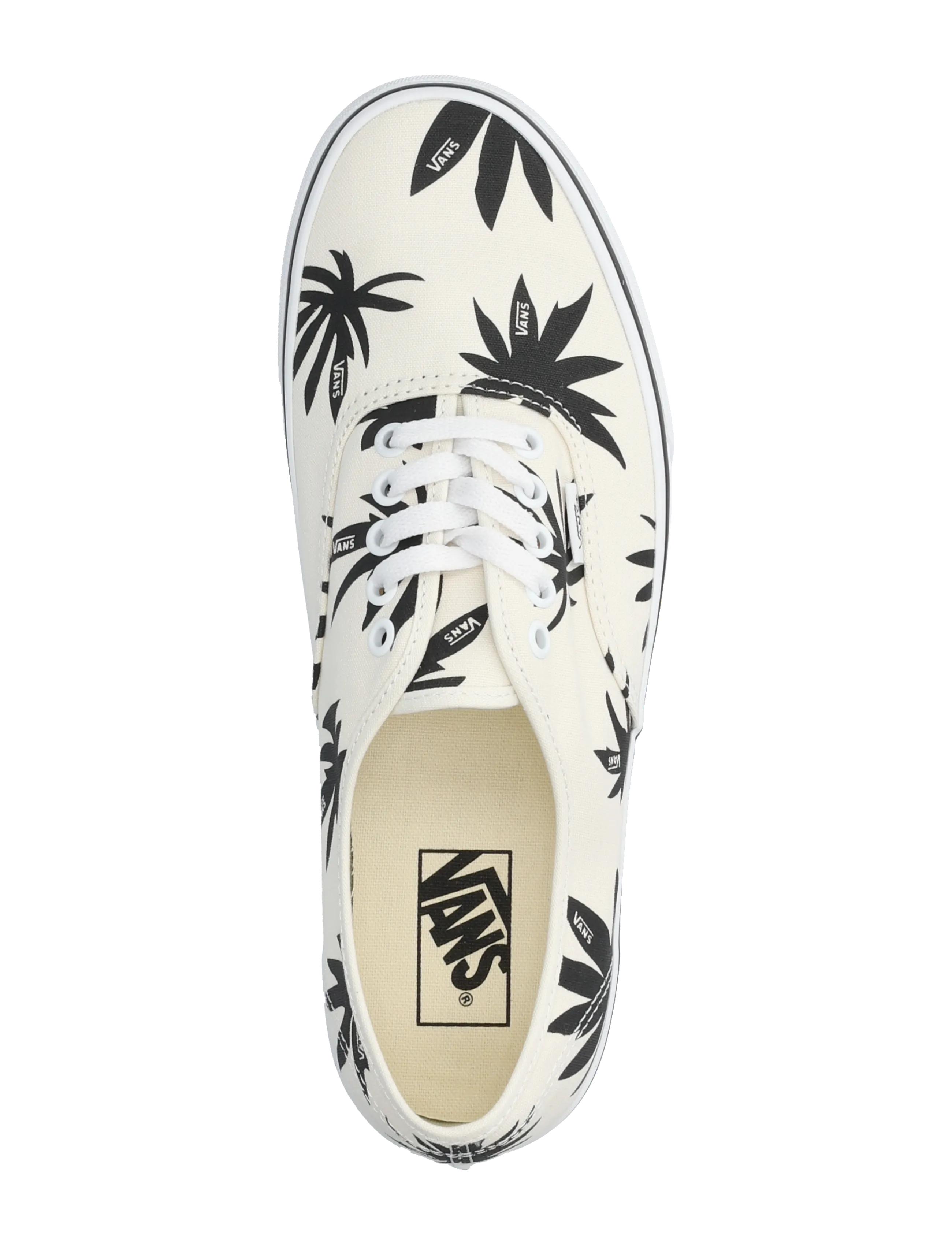 VANS - Authentic - lágir strigaskór - marshmallow/black - 3