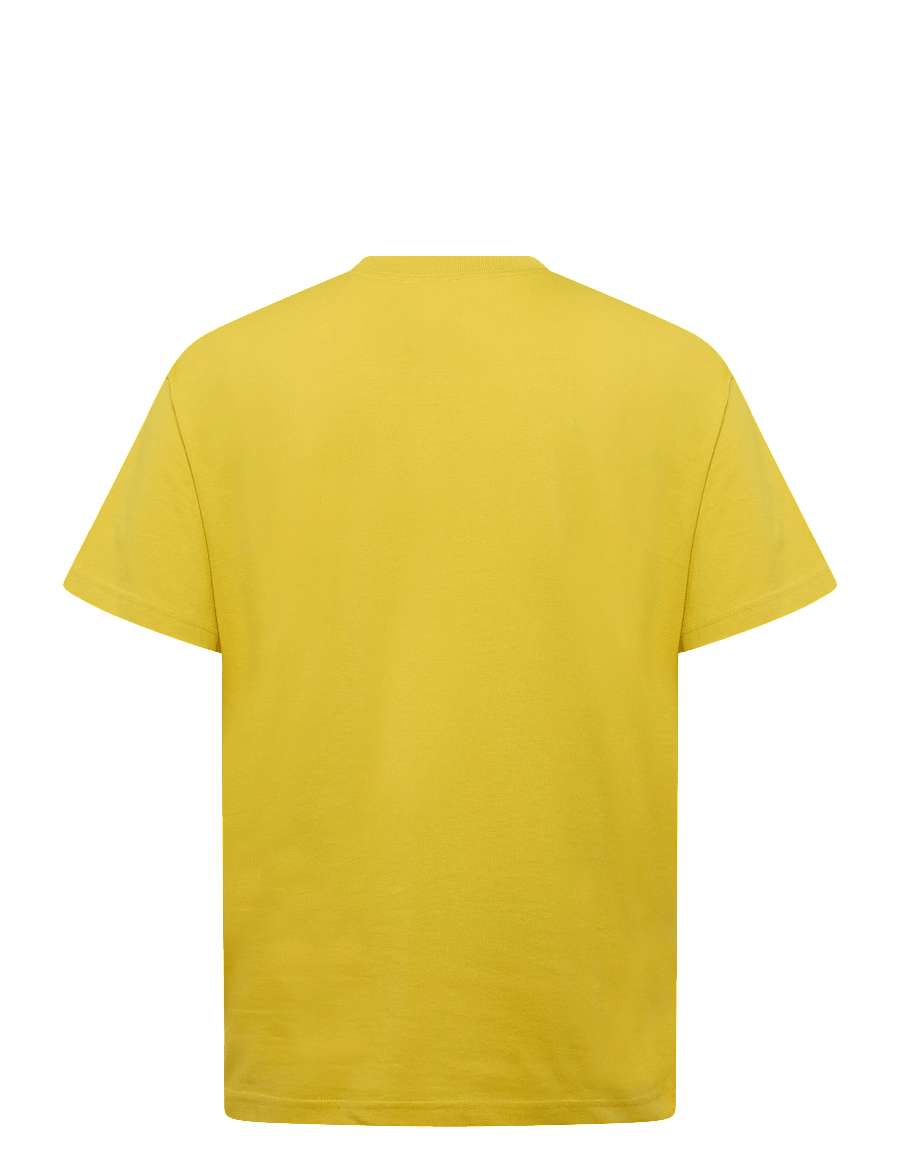 VANS - Salton Loose SS Tee - t-shirts - dusty gold - 2