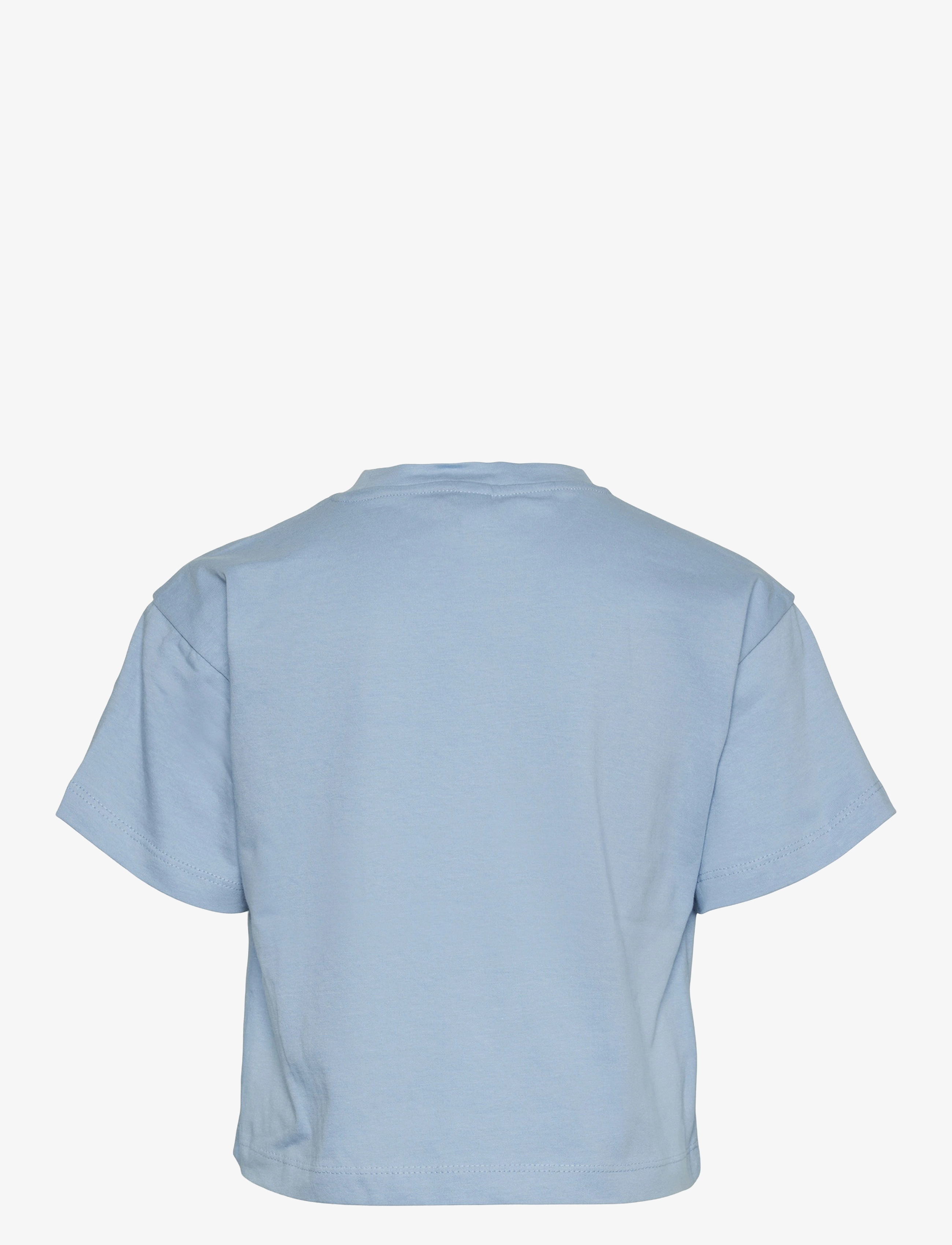 Vero Moda Girl - VMSMILES KELLY CROP SS TOP JRS GIRL - dutch canal - 1