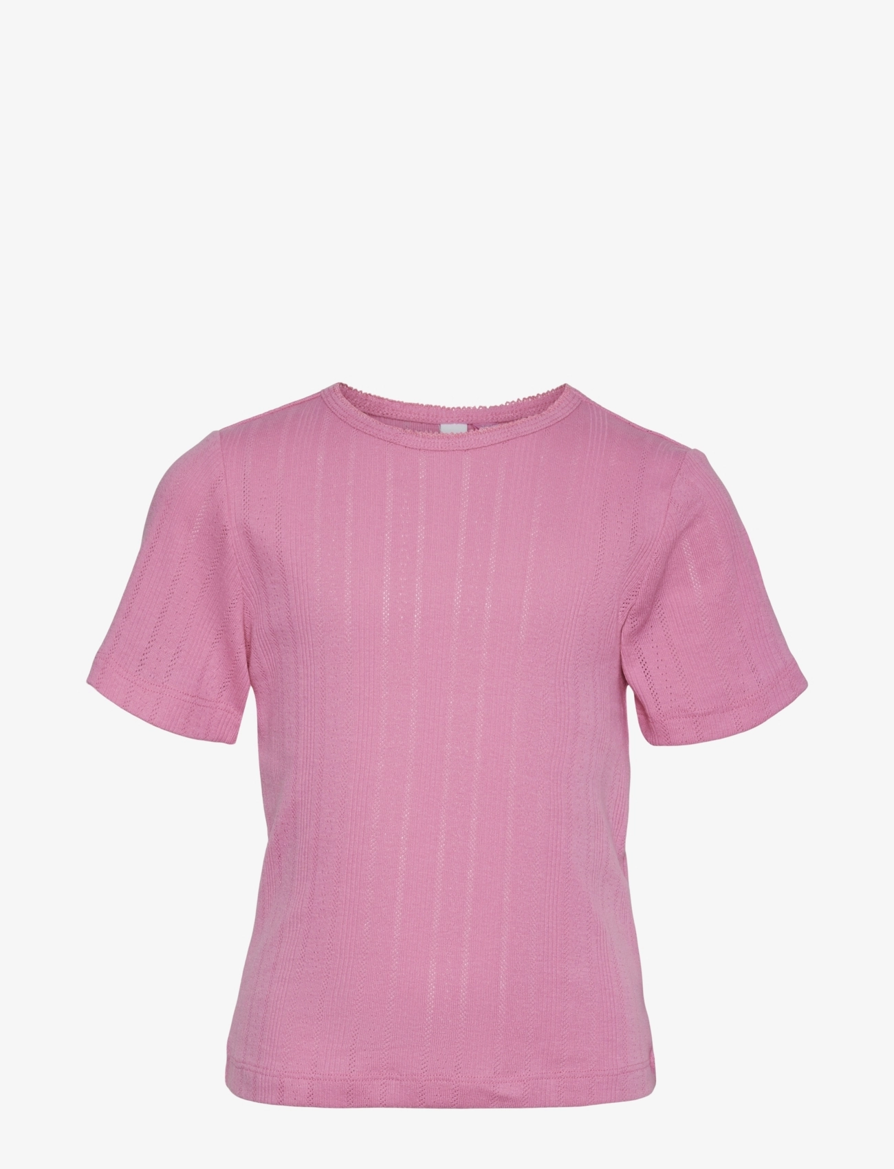 PINK COSMOS