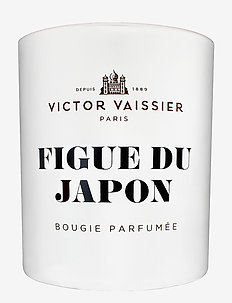 Candle Figue Du Japon, Victor Vaissier