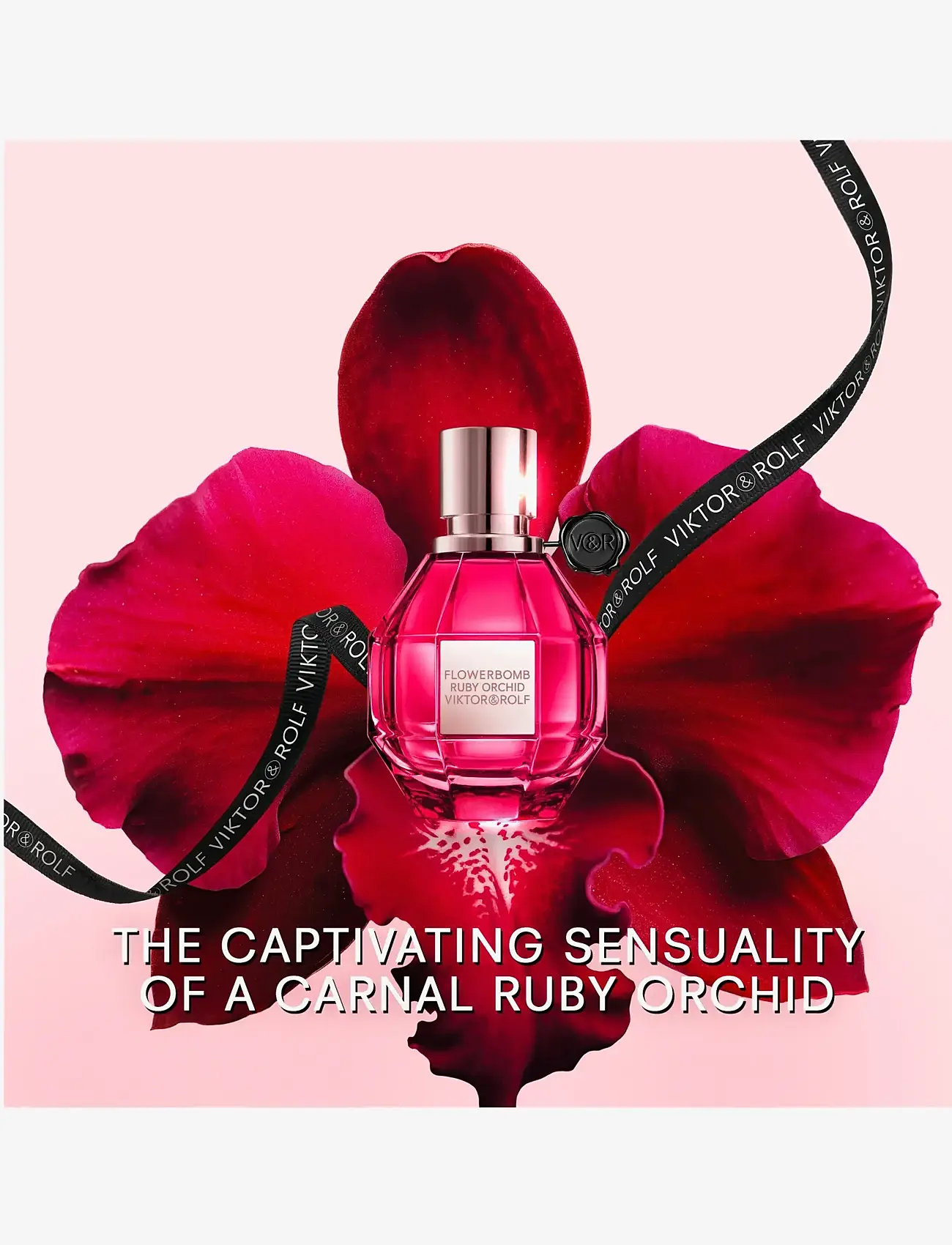 Viktor & Rolf - EDP ORCHID FANTASY SP30ML - naistele  - clear - 4