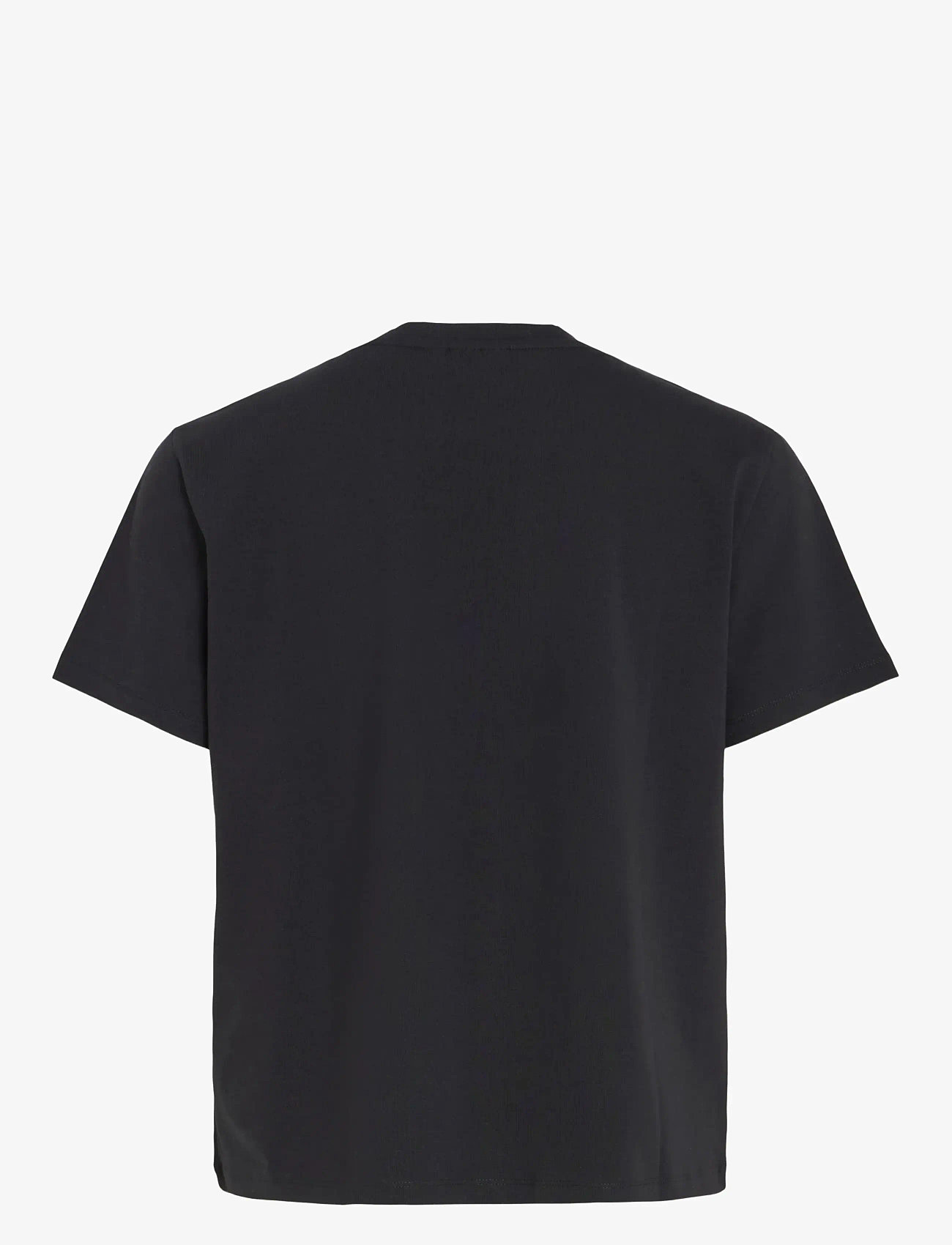 Vila - VINORA S/S T-SHIRT - NOOS - t-shirts - black beauty - 2
