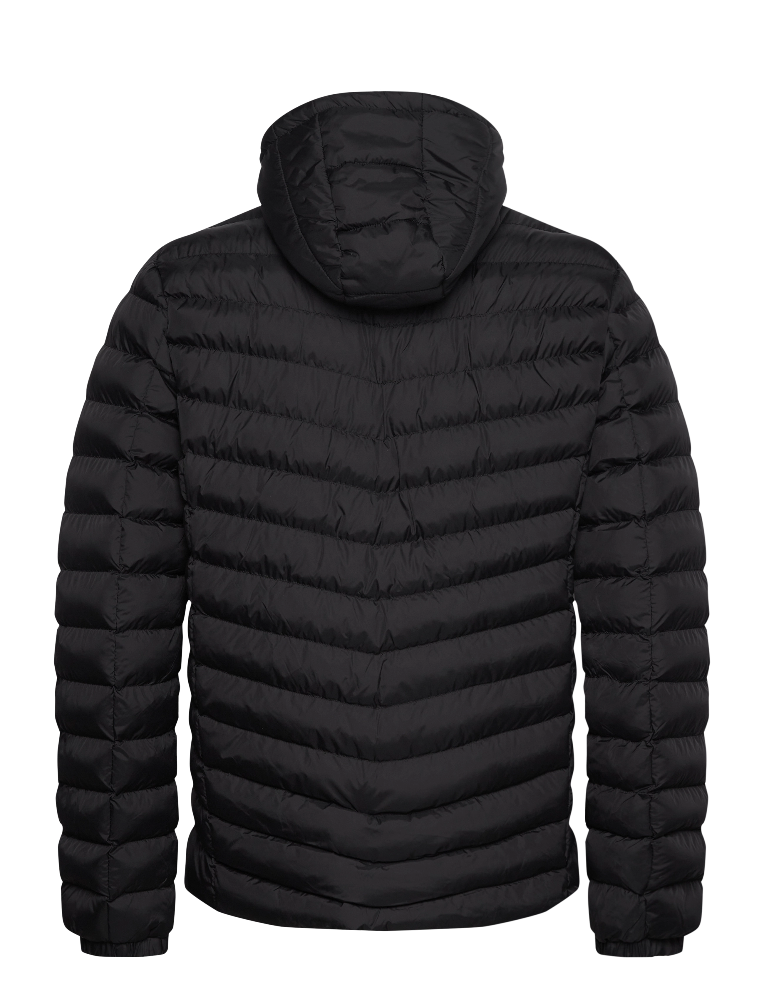 VINSON - Sabin nw reg hip ny VIN M OTW - winterjacken - 19-4004 tap shoe - 1