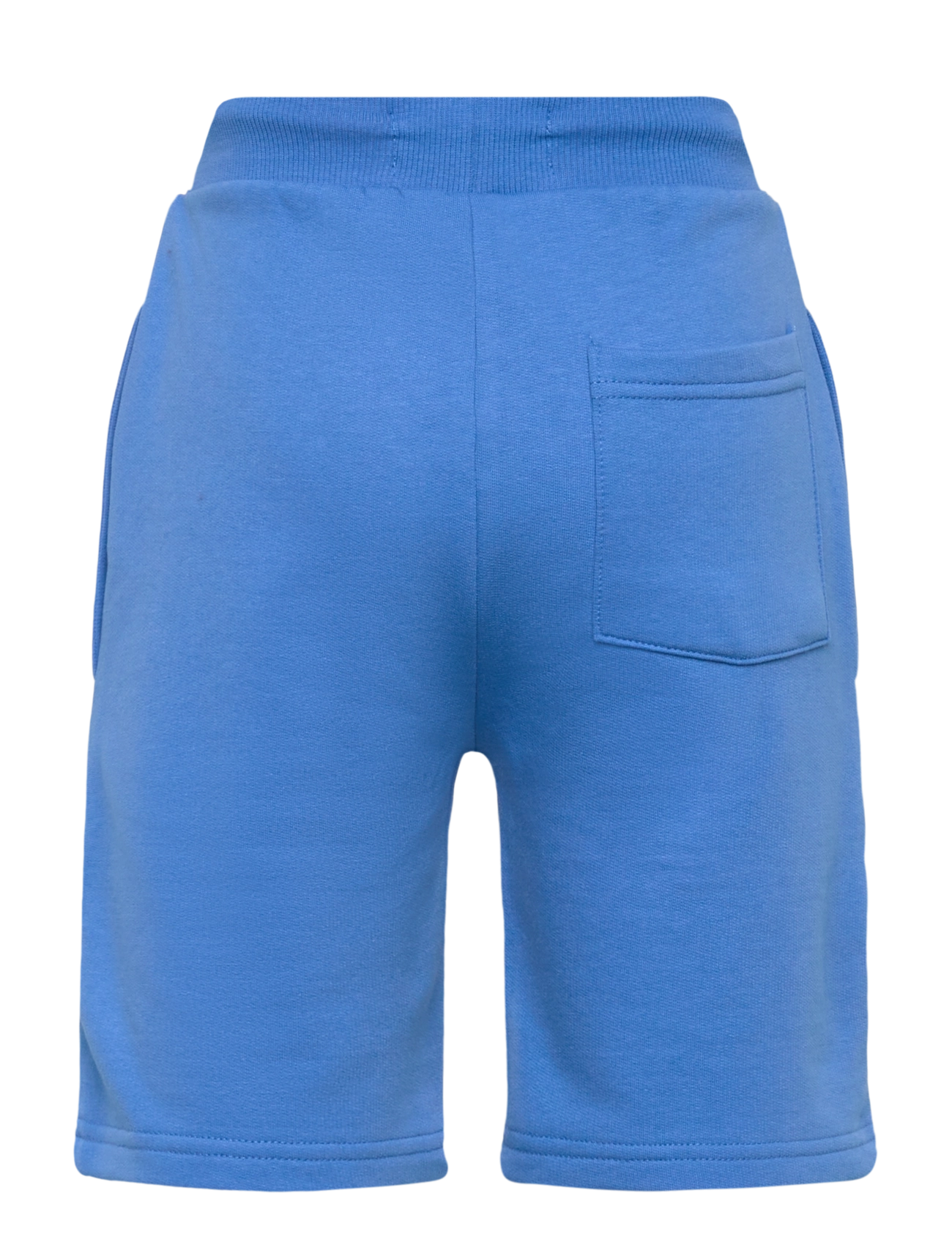 VINSON - Ruger cot pe sw VIN JRB SHORTS - treninginiai šortai - 18-4043tcx palace blue - 1