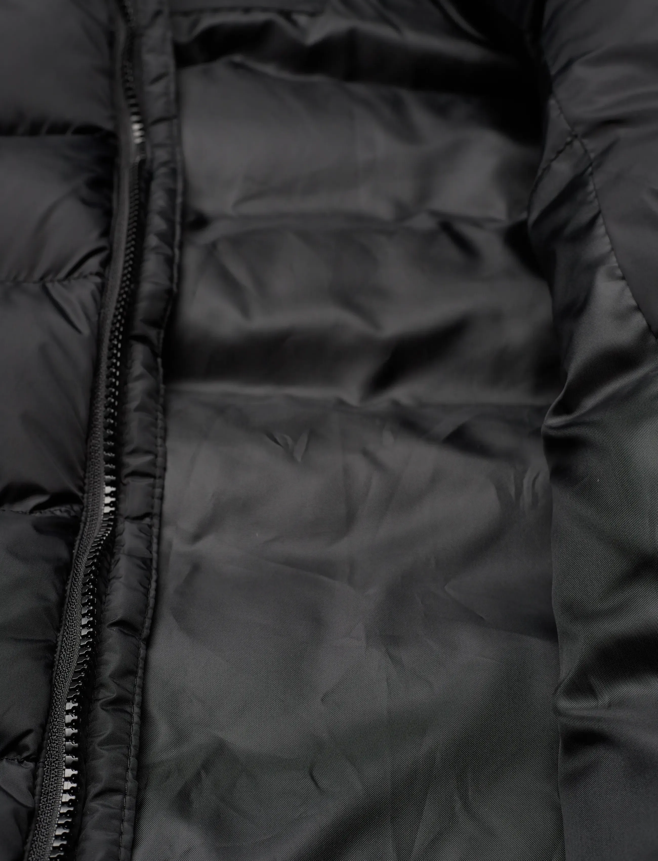 VINSON - Grey reg vest vin m otw - westen - tap shoe - 4