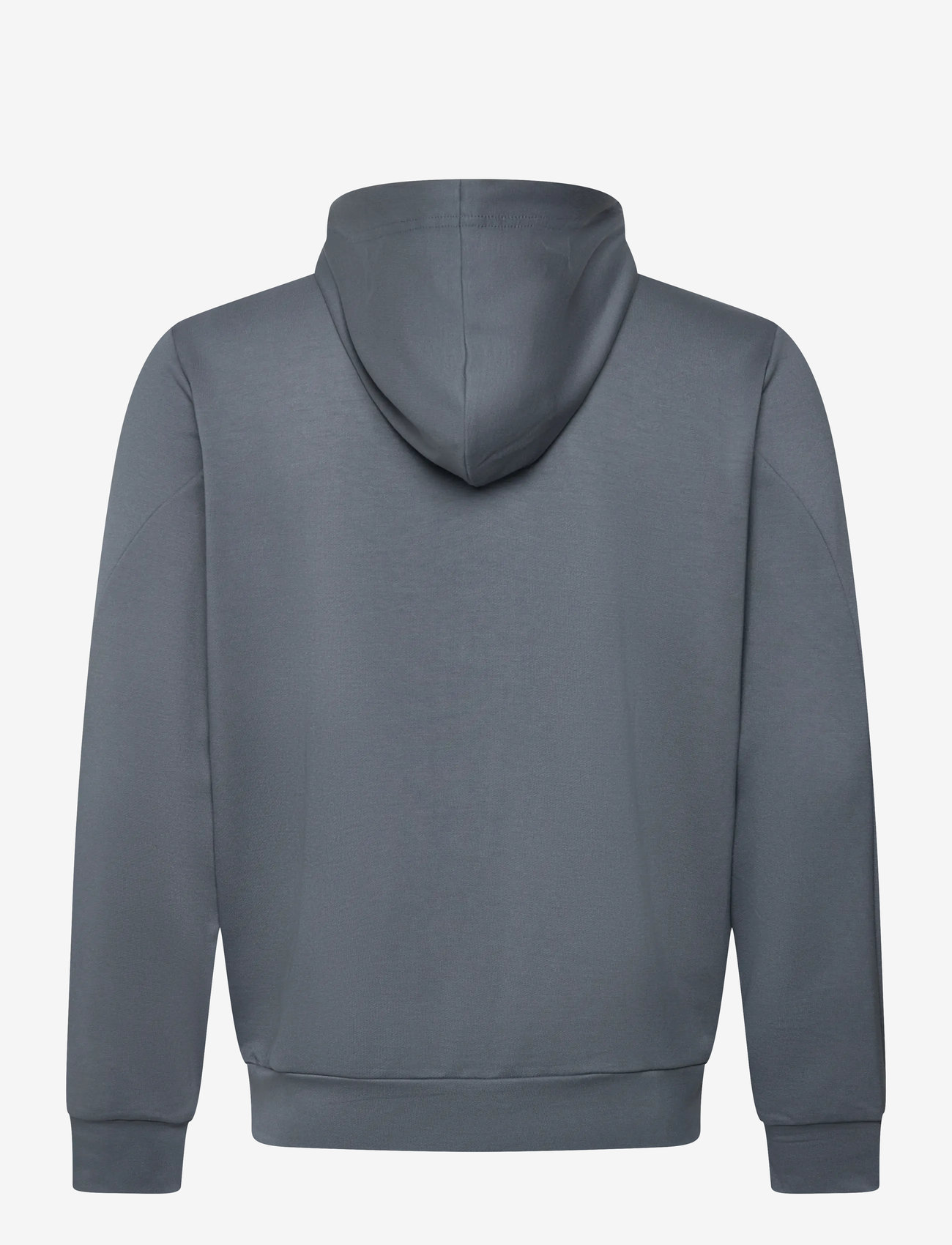 Virtus - Brent M Hoody - kapuutsiga dressipluusid - stormy weather - 1