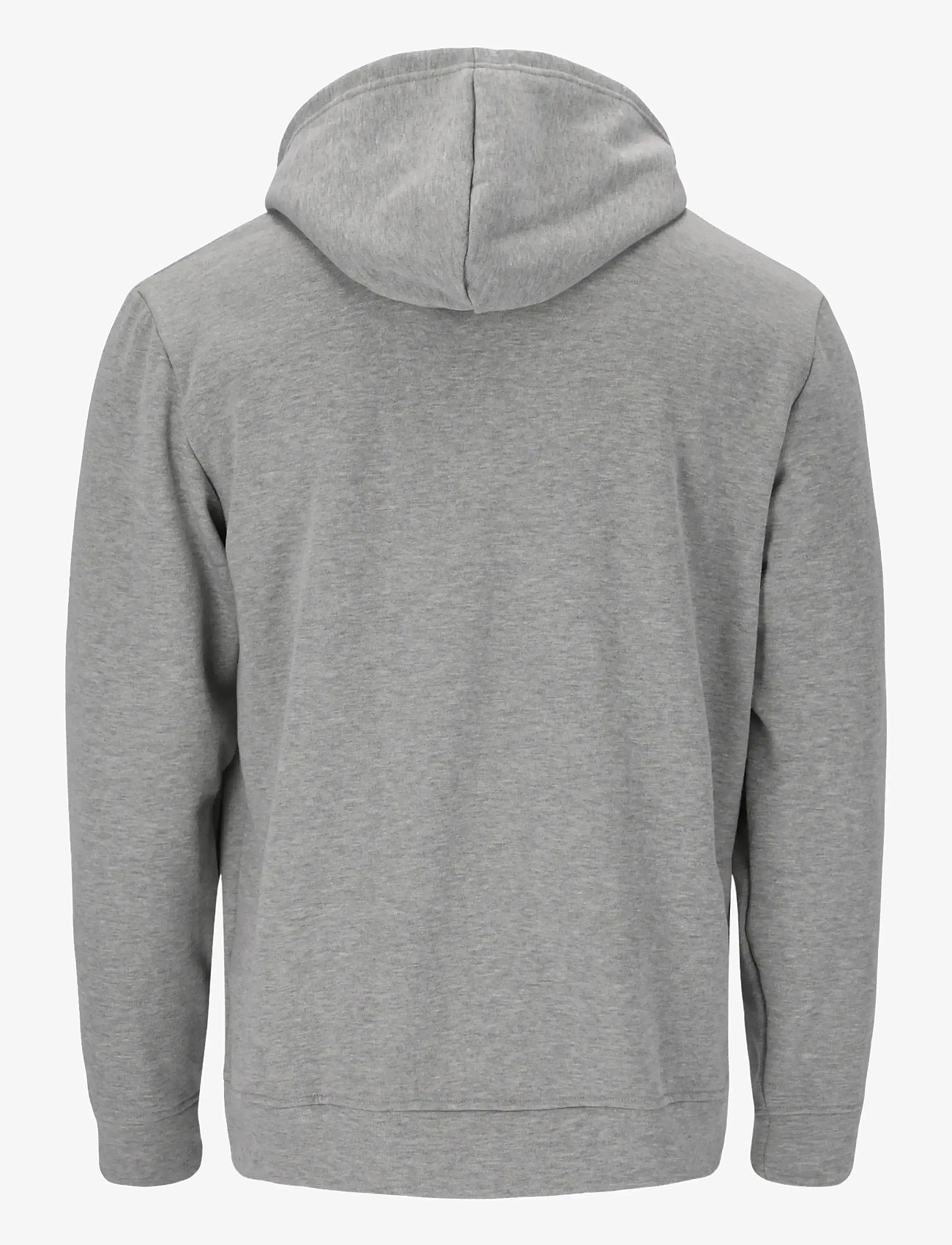 Virtus - Kritow M Hoody - kapuutsiga dressipluusid - light grey melange - 2