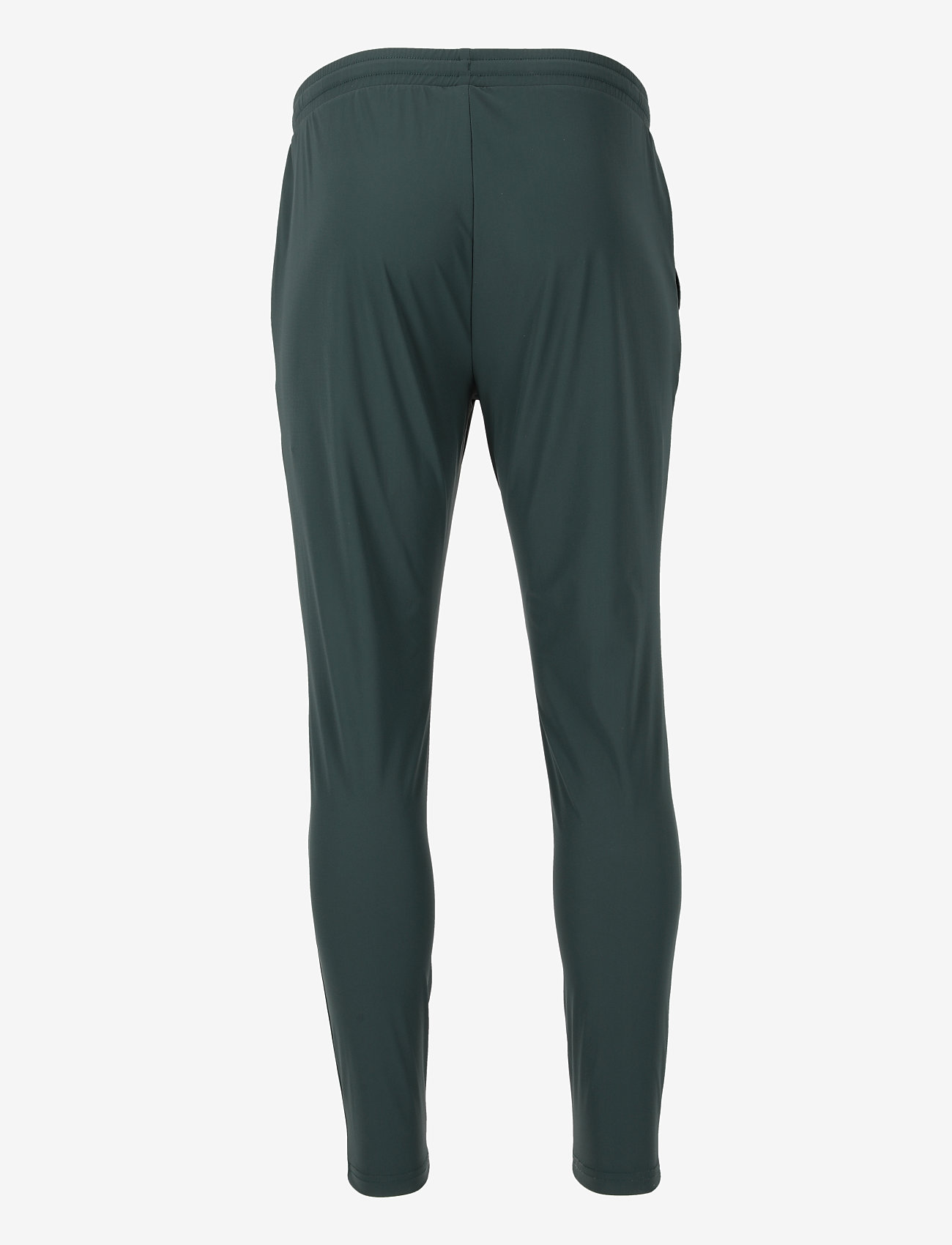 Virtus - Alonso M Hyperstretch Pants - sporthosen - dusty forest - 2