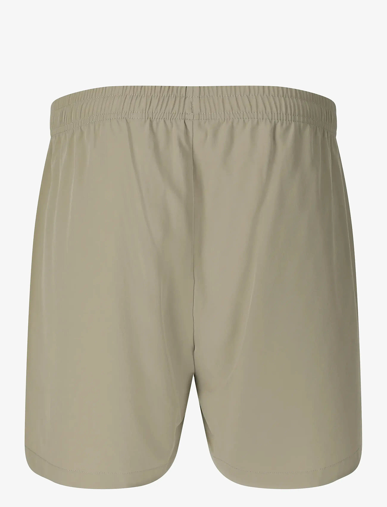 Virtus - Spier V3 M Shorts - lühikesed treeningpüksid - dried sage - 2