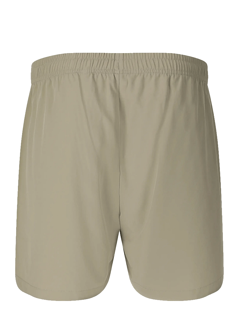 Virtus - Spier V3 M Shorts - lühikesed treeningpüksid - dried sage - 2