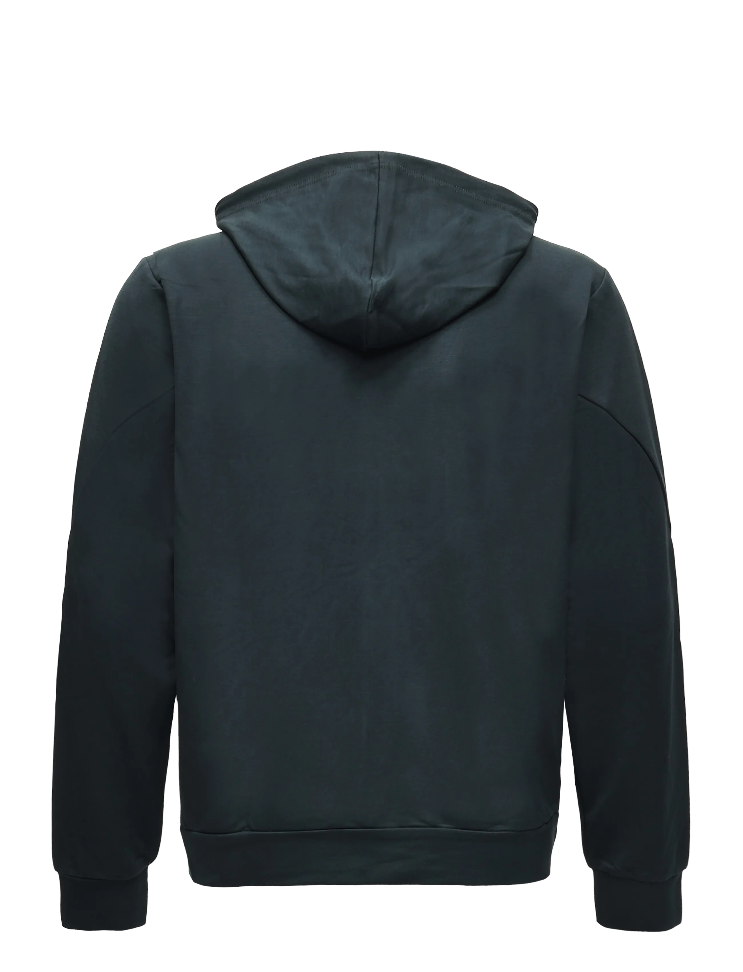 Virtus - Brent V2 M Hoody - sweatshirts - forest river - 1