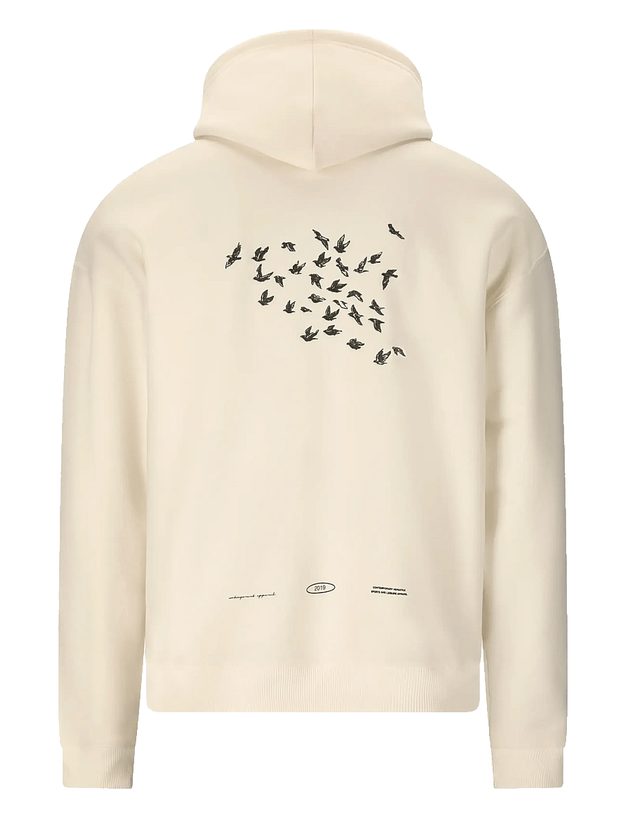 Virtus - Brody M Graphic Hoody - kapuutsiga dressipluusid - egret - 2