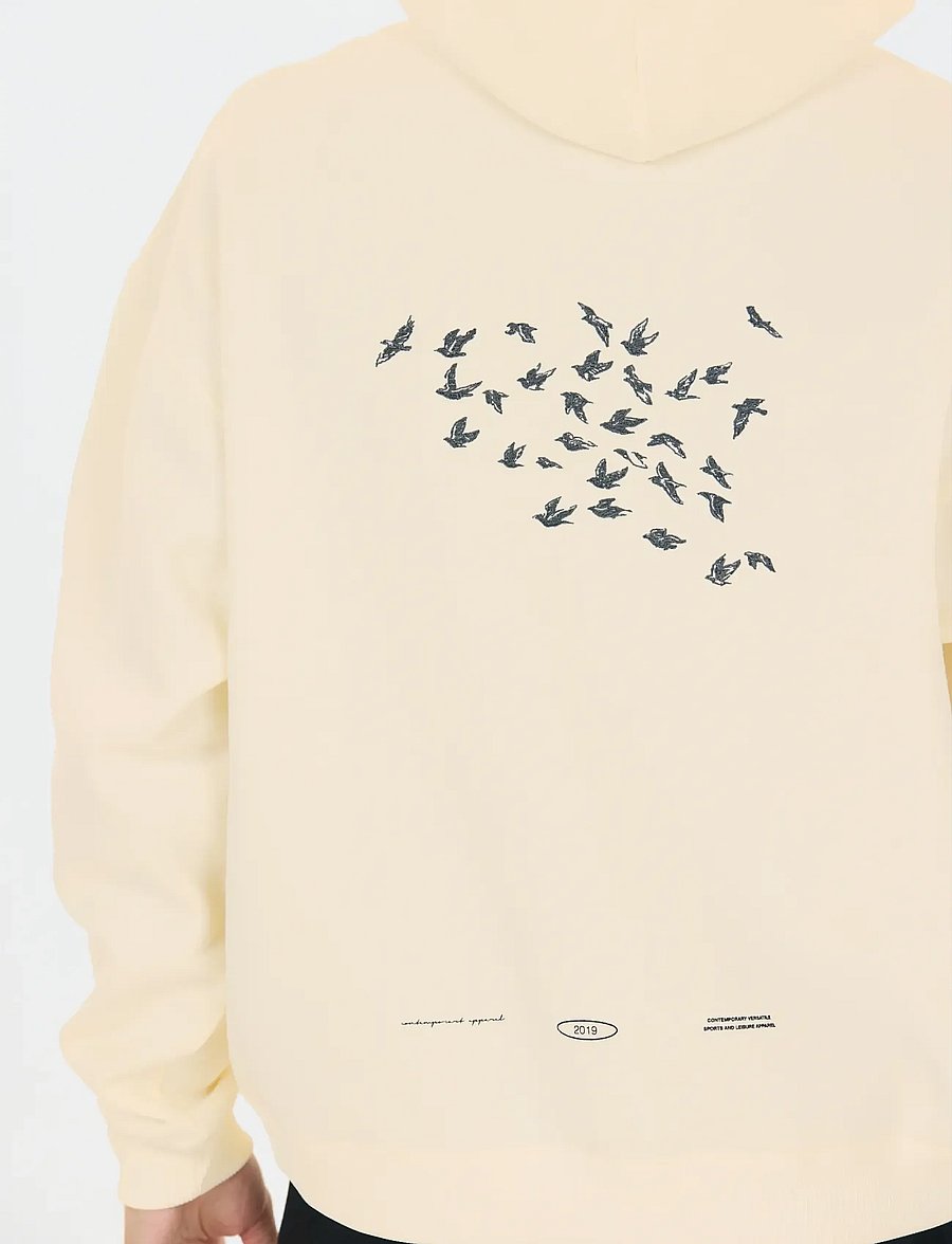Virtus - Brody M Graphic Hoody - kapuutsiga dressipluusid - egret - 4