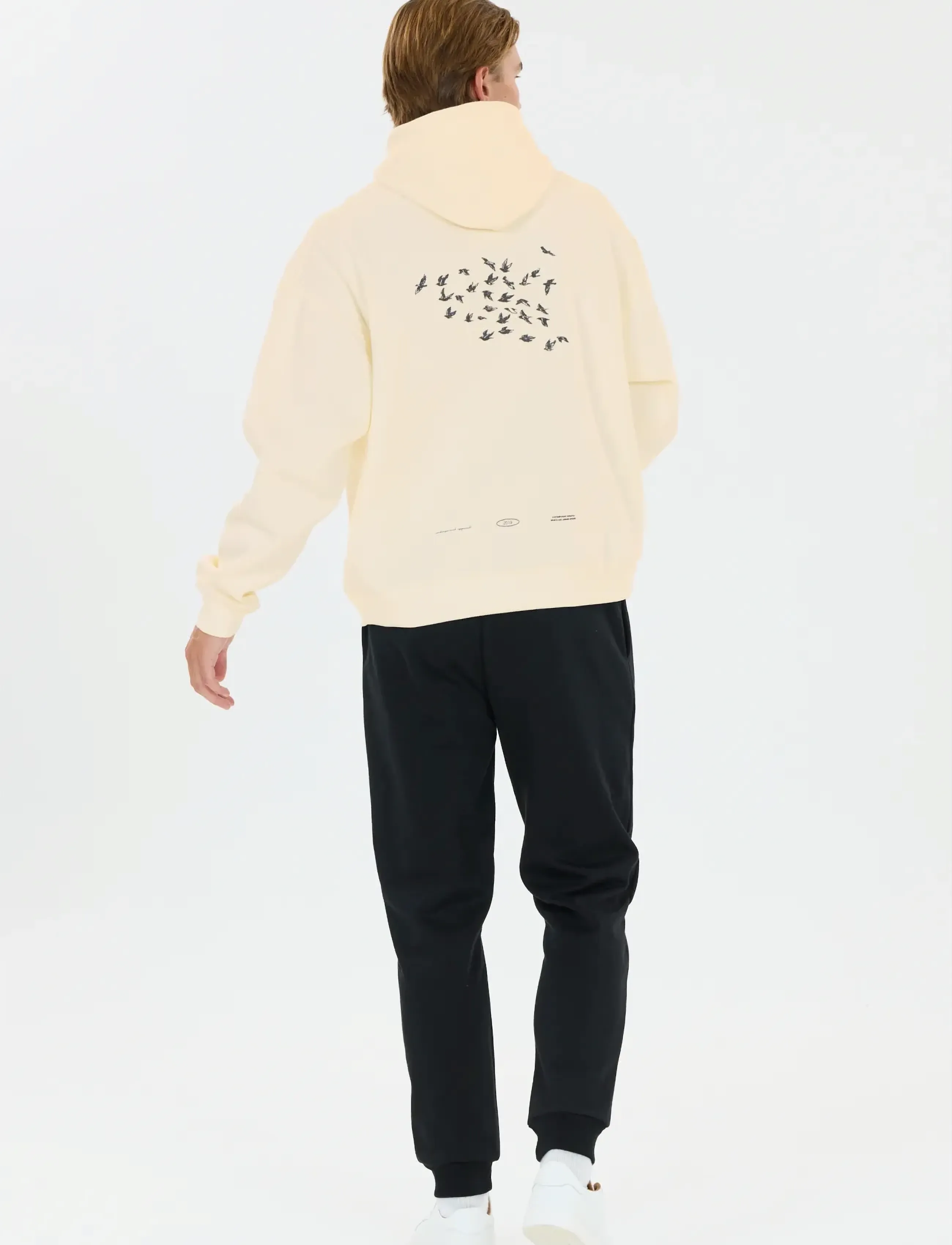 Virtus Brody M Graphic Hoody - Streetstyle - EGRET / cream