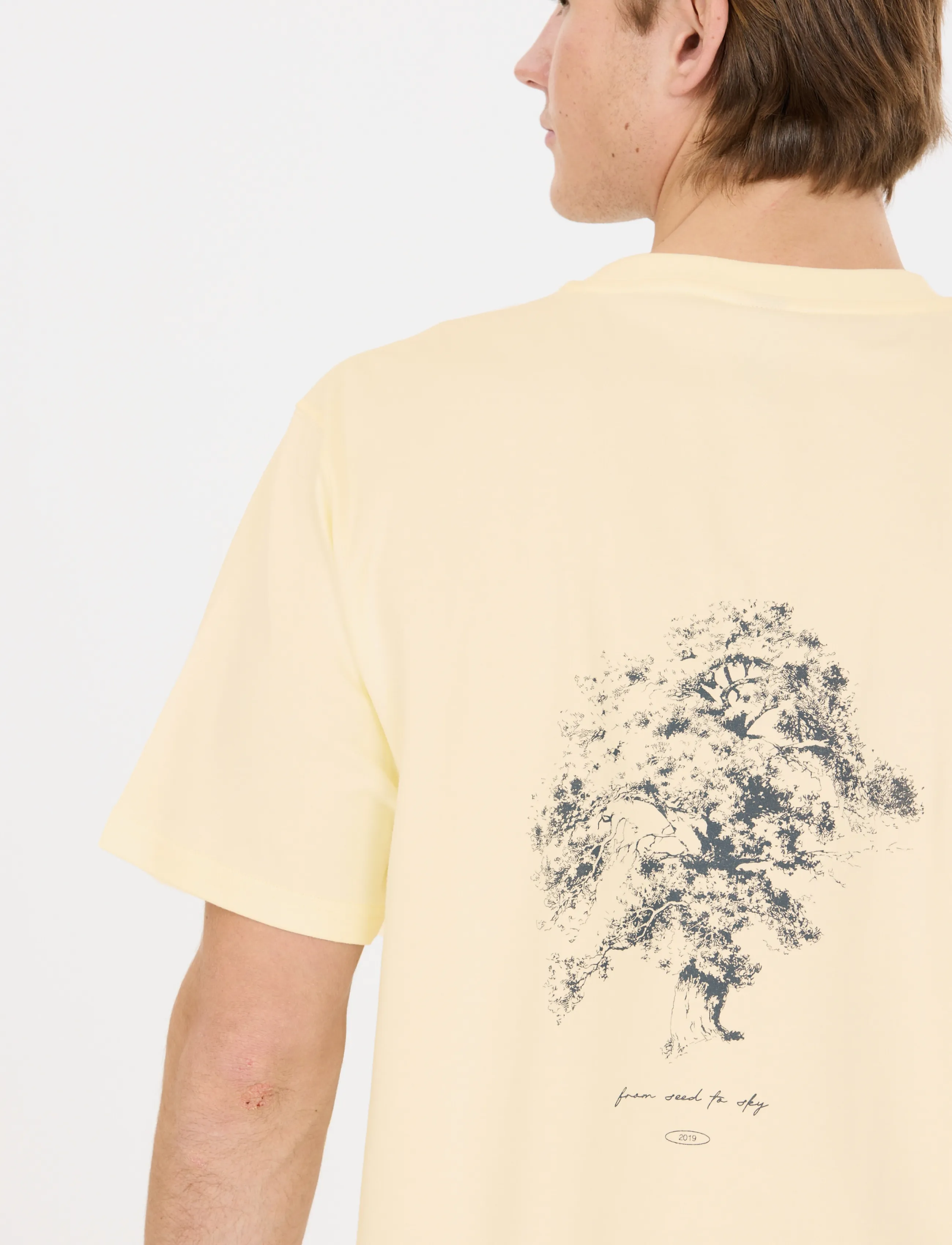 Virtus Dill M Tee t-shirts - bas herr – bild 5