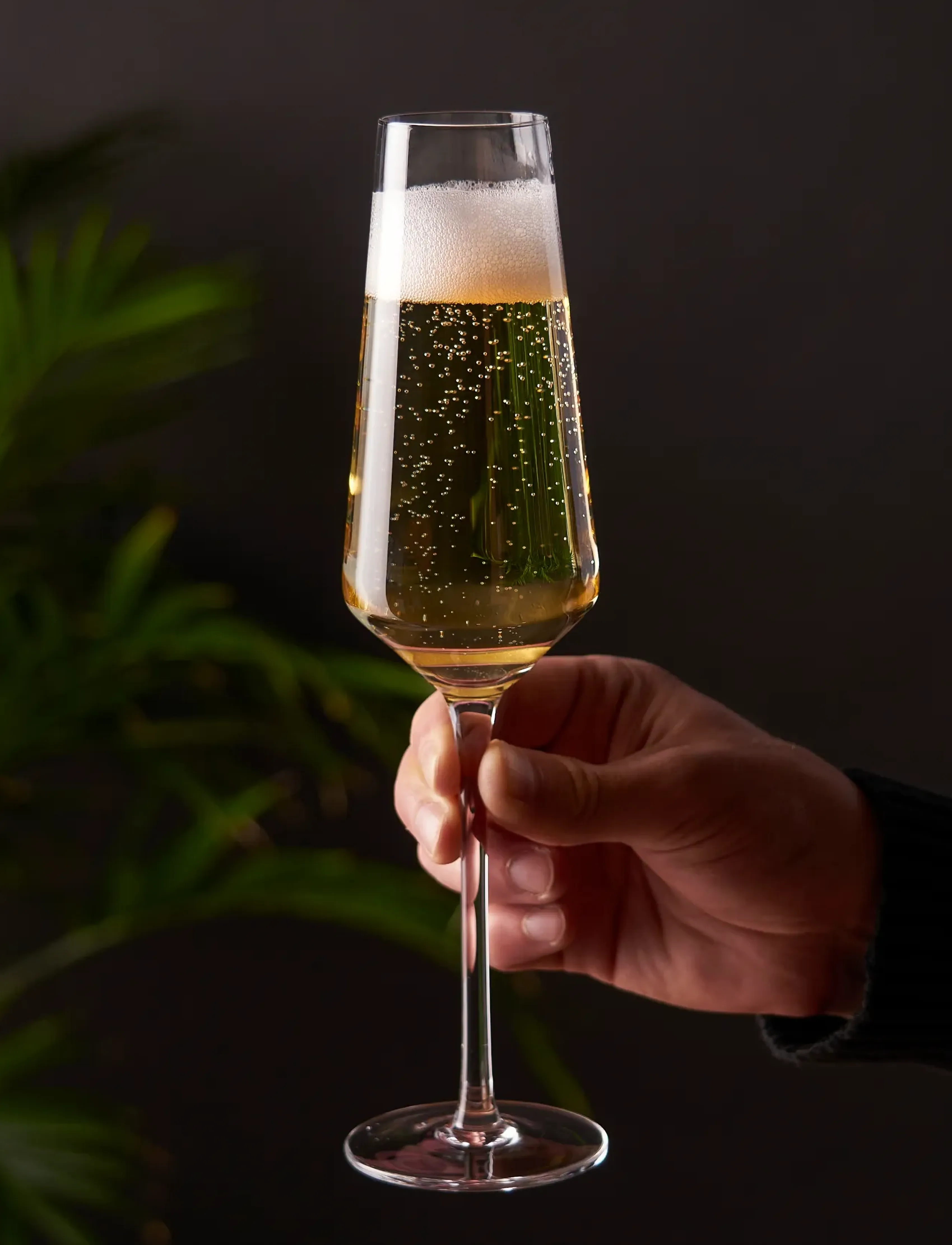 Viski - Raye Crystal Angled Champagne Flutes Viski® - transparent - 0