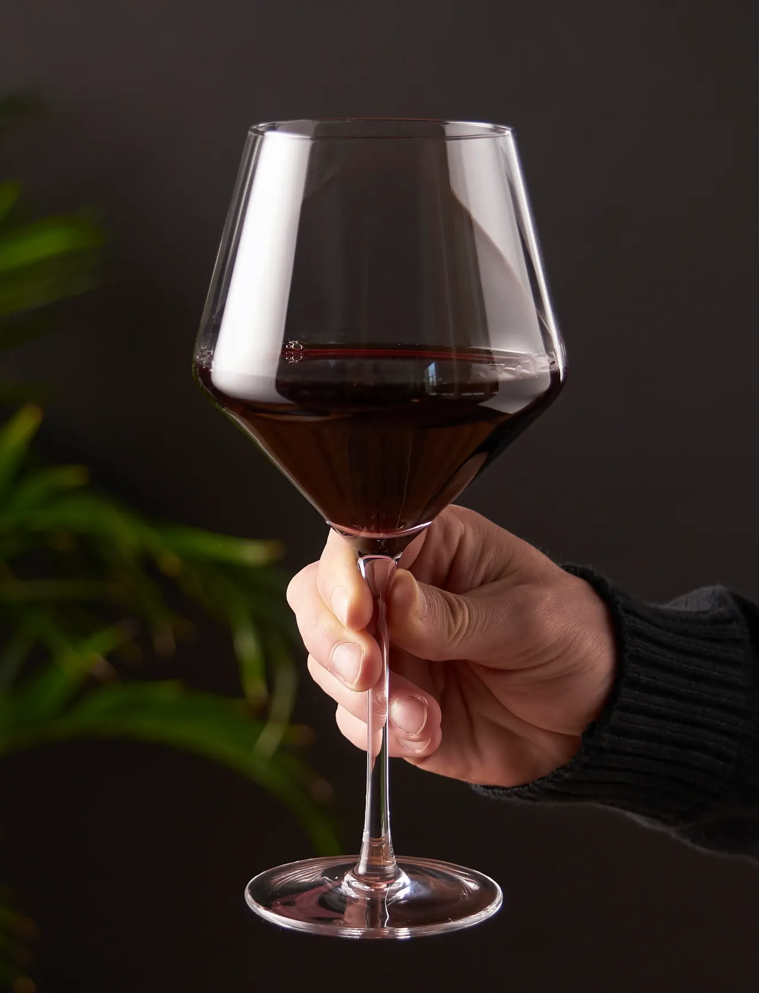 Viski Raye Crystal Angled Burgundy Glasses Viski® - Konfirmation - TRANSPARENT / clear