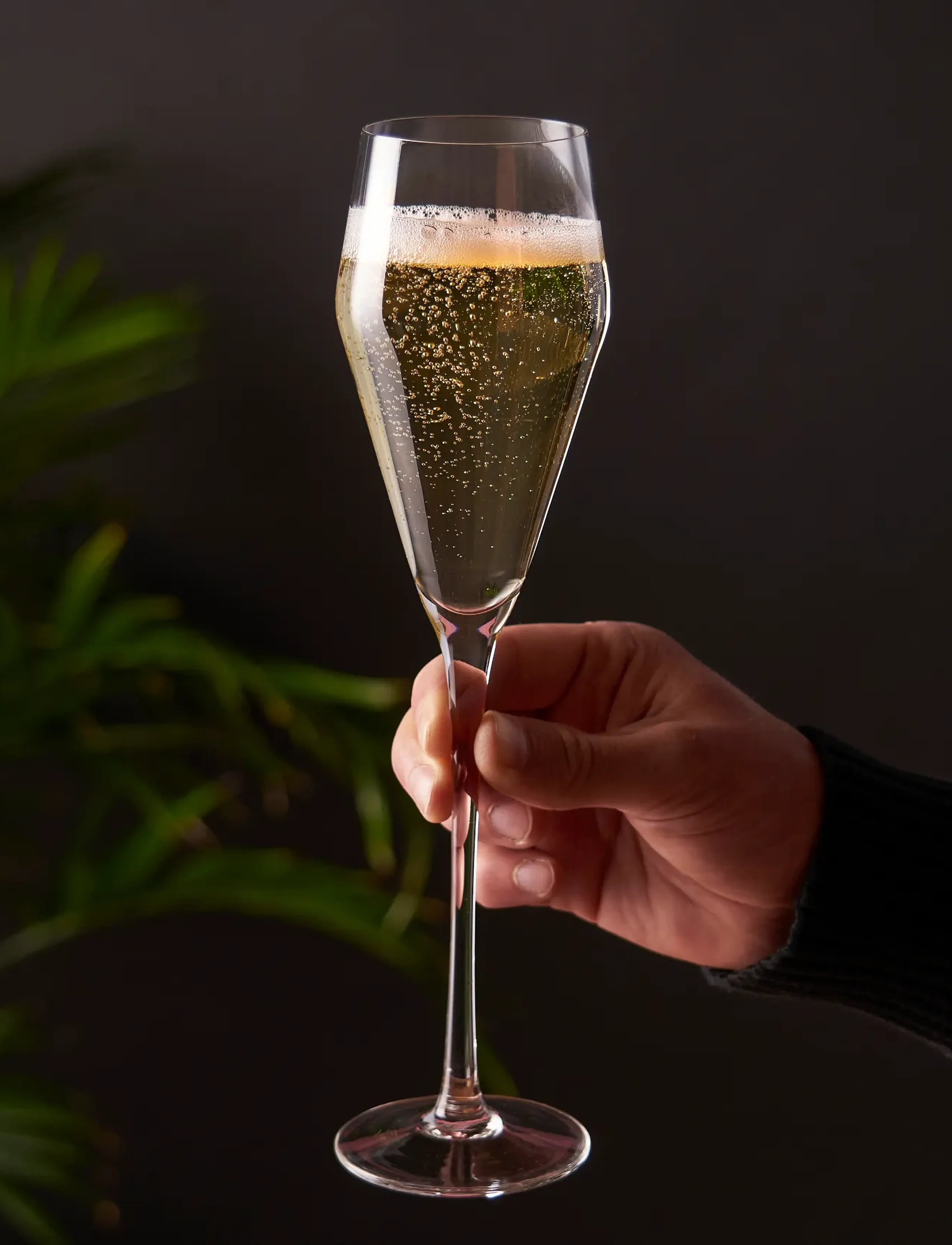 Viski Angled Crystal Prosecco Glasses by Viski® - Konfirmation - TRANSPARENT / clear