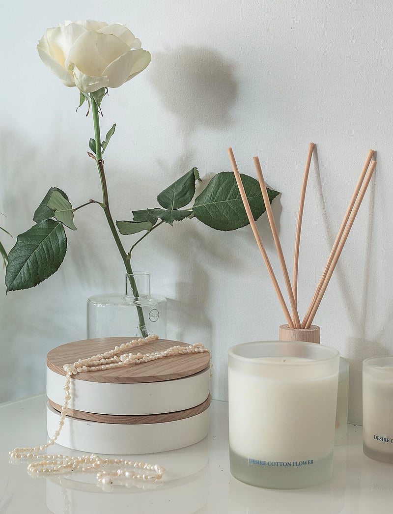 Washologi - Candle Desire - above 500kr - white - 0