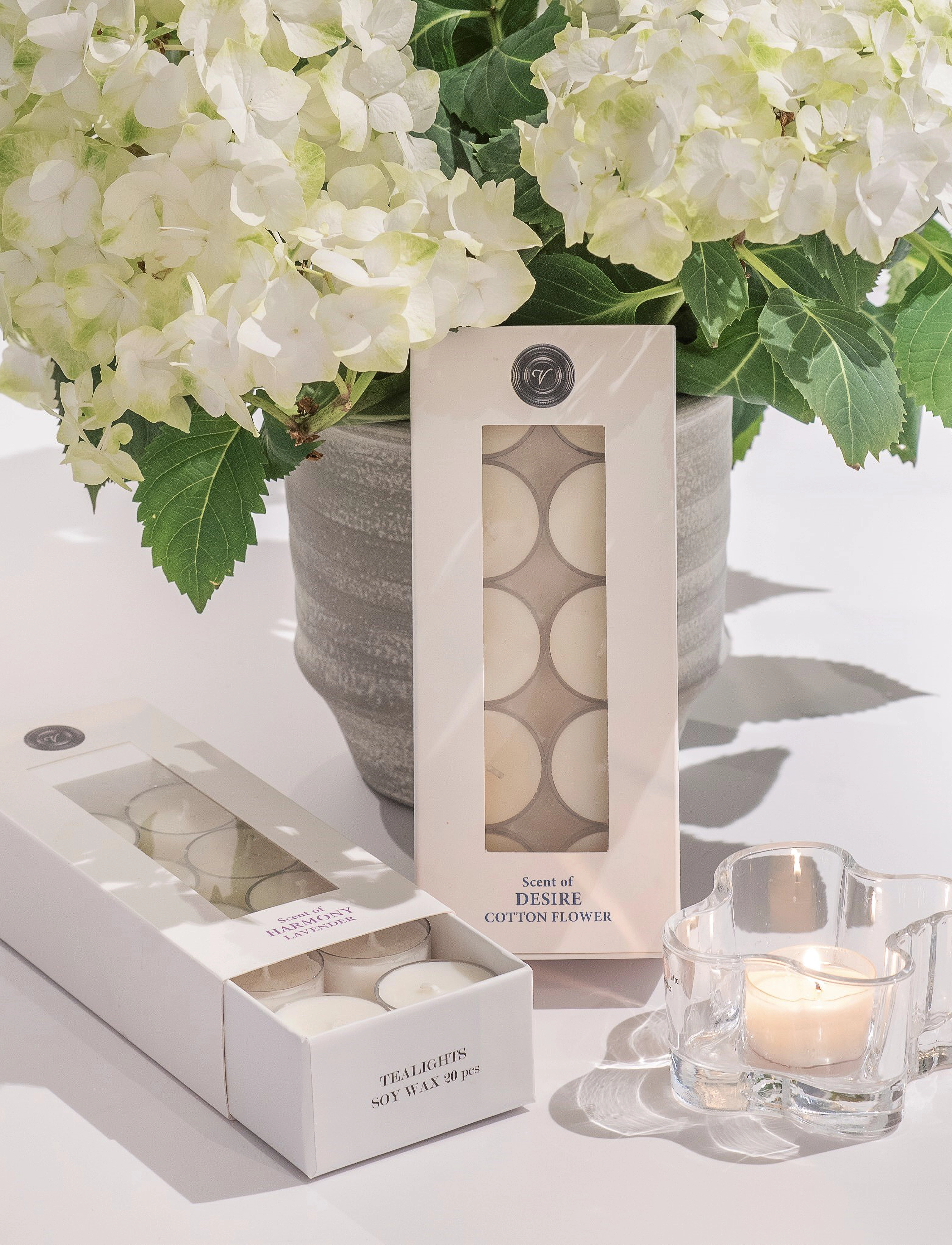 Washologi - Tealights Desire - white - 1
