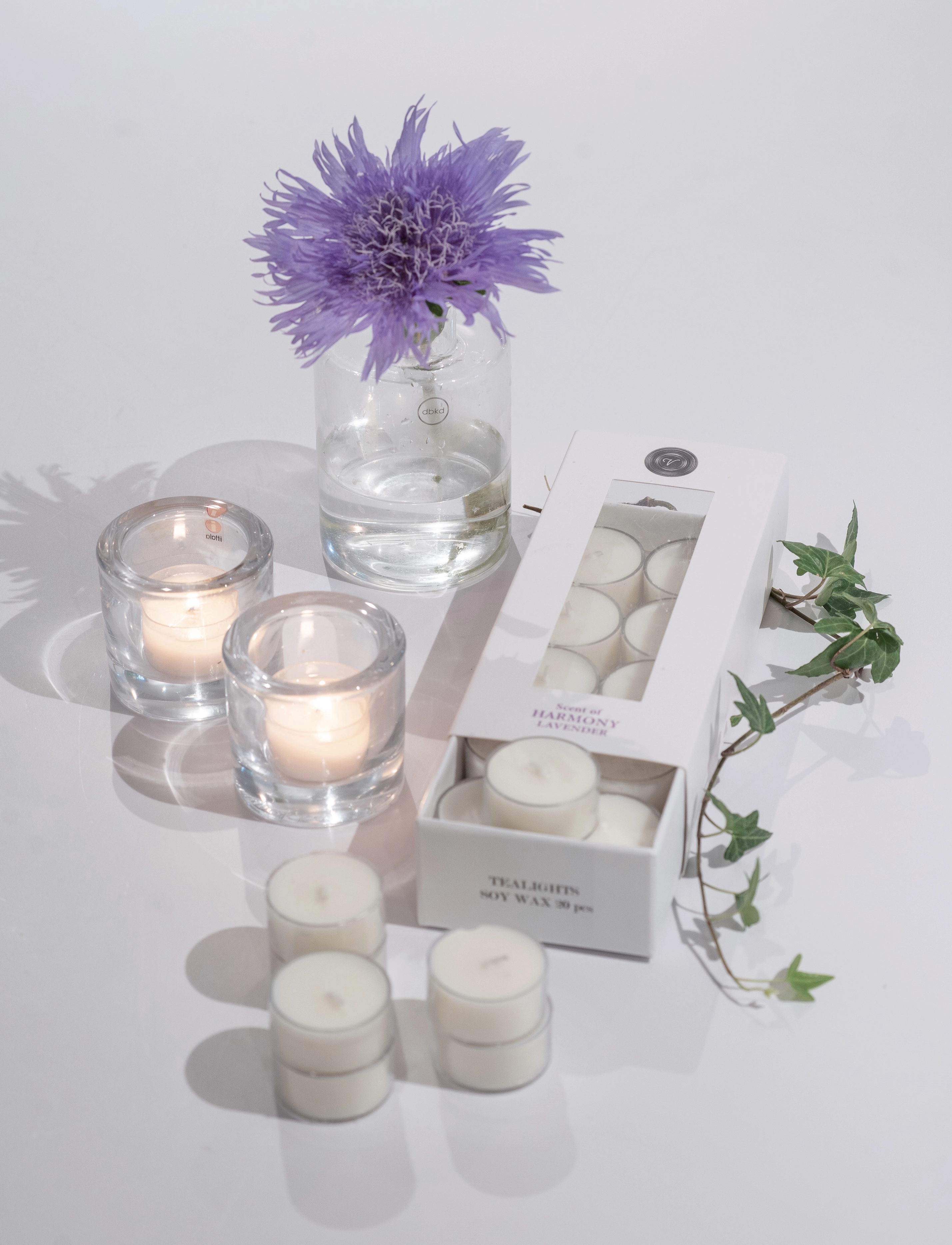 Washologi - Tealights Harmony - white - 1